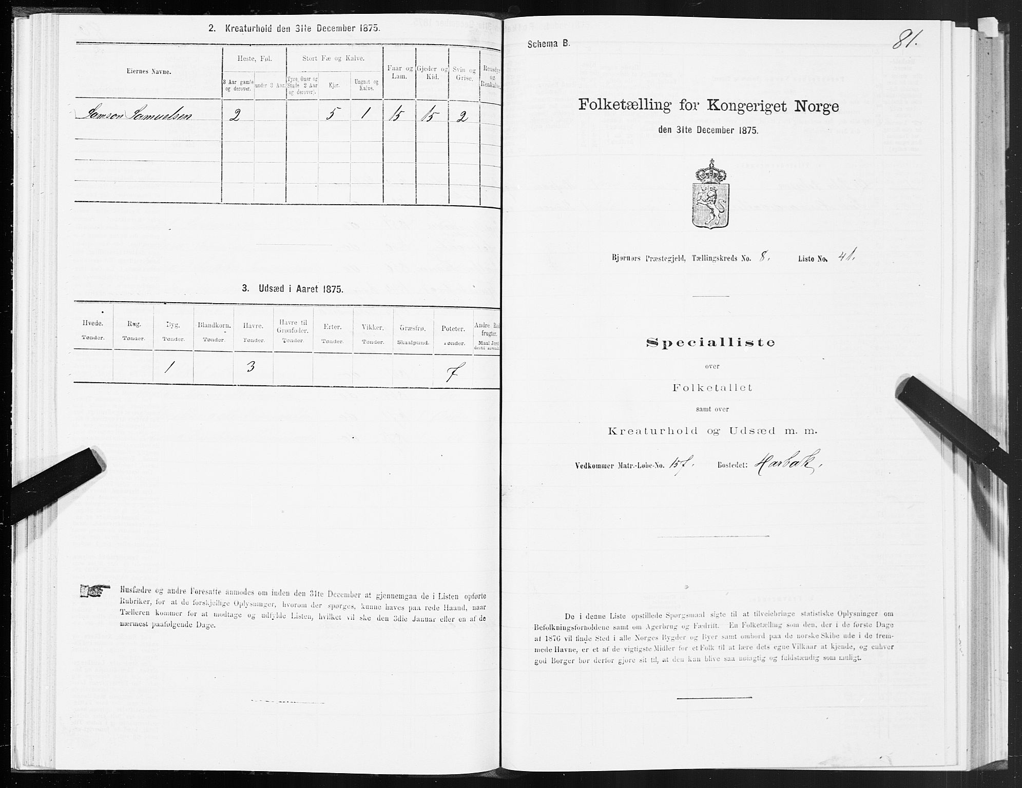 SAT, 1875 census for 1632P Bjørnør, 1875, p. 4081