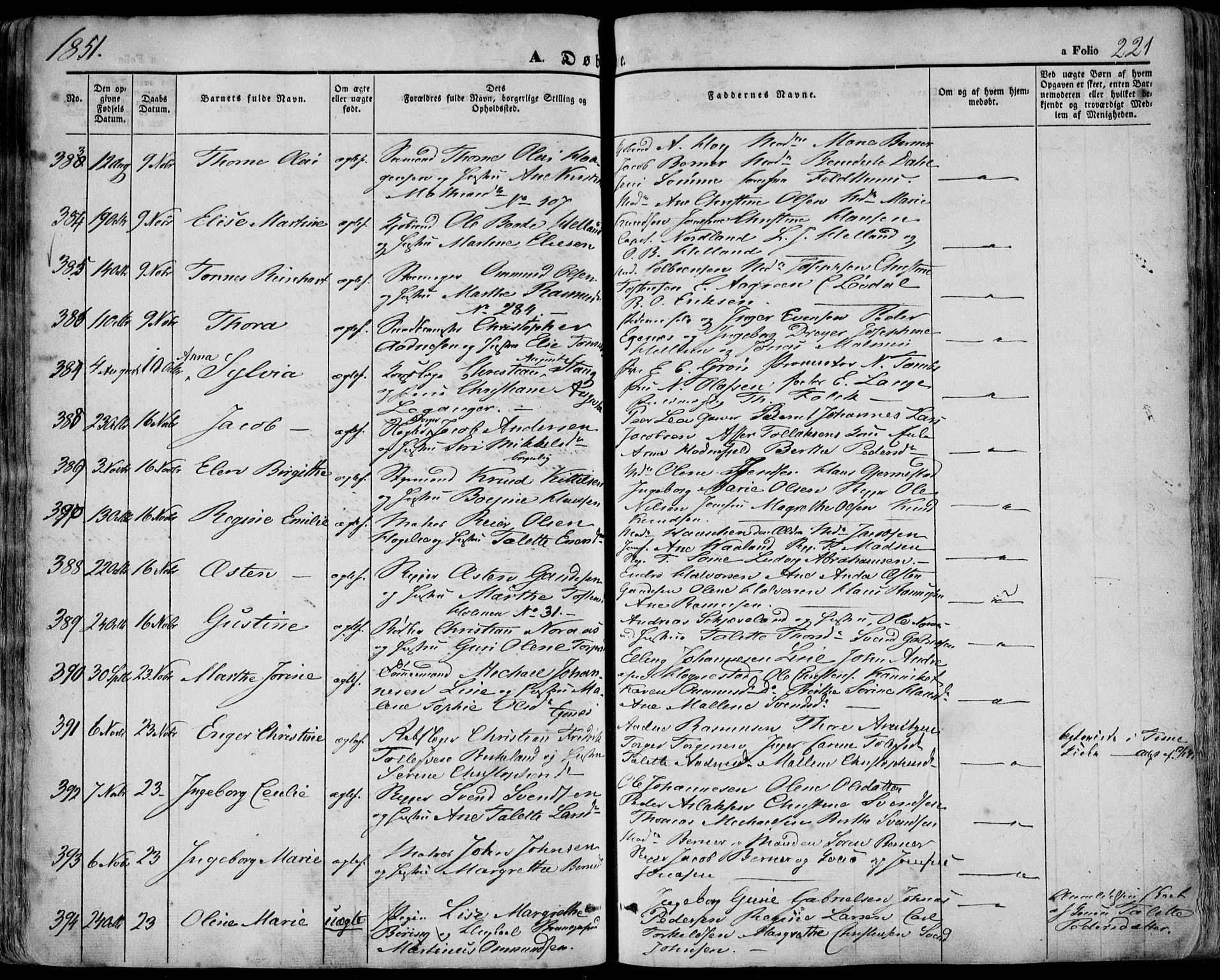 Domkirken sokneprestkontor, SAST/A-101812/001/30/30BA/L0016: Parish register (official) no. A 15, 1844-1854, p. 221