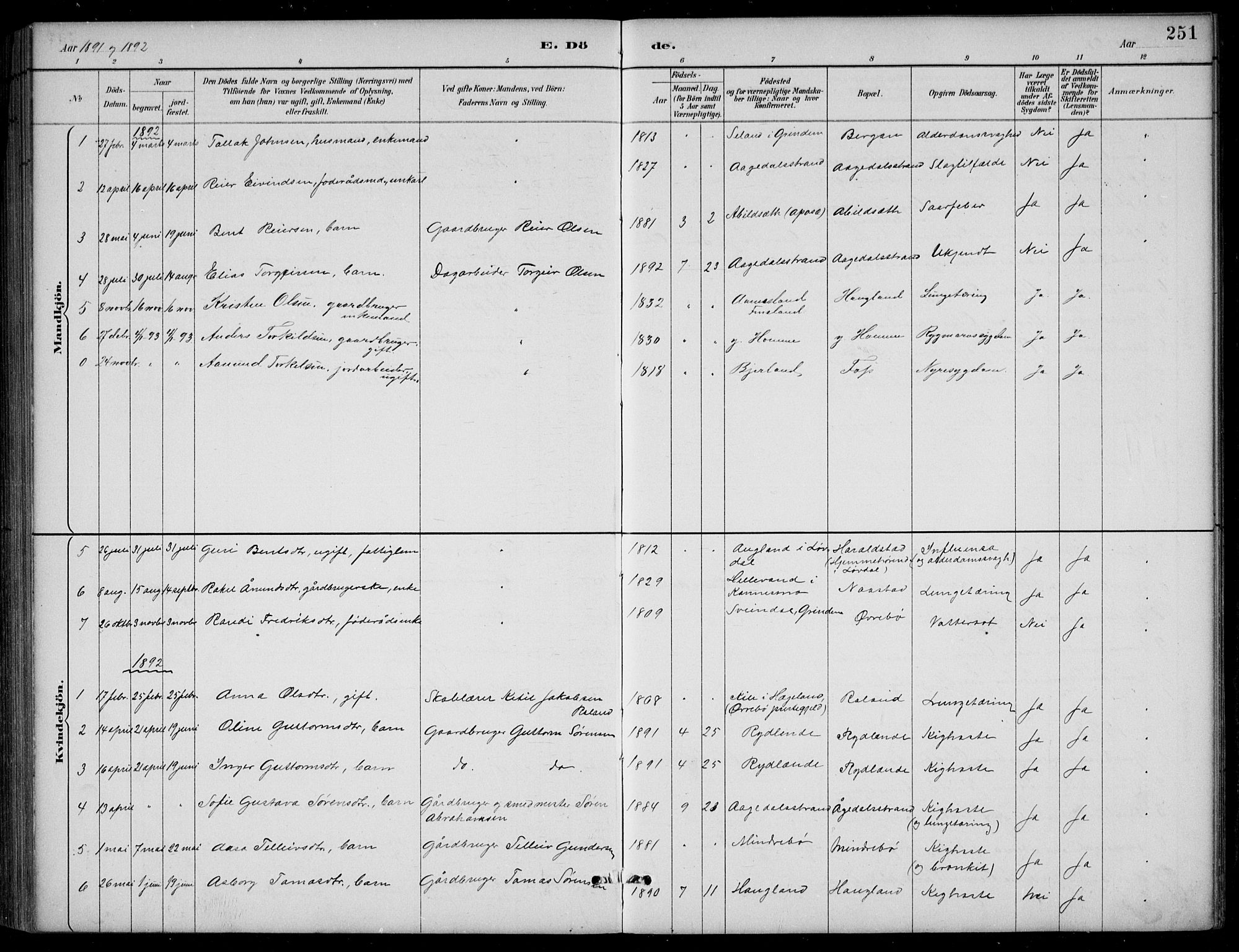 Bjelland sokneprestkontor, SAK/1111-0005/F/Fb/Fba/L0005: Parish register (copy) no. B 5, 1887-1923, p. 251