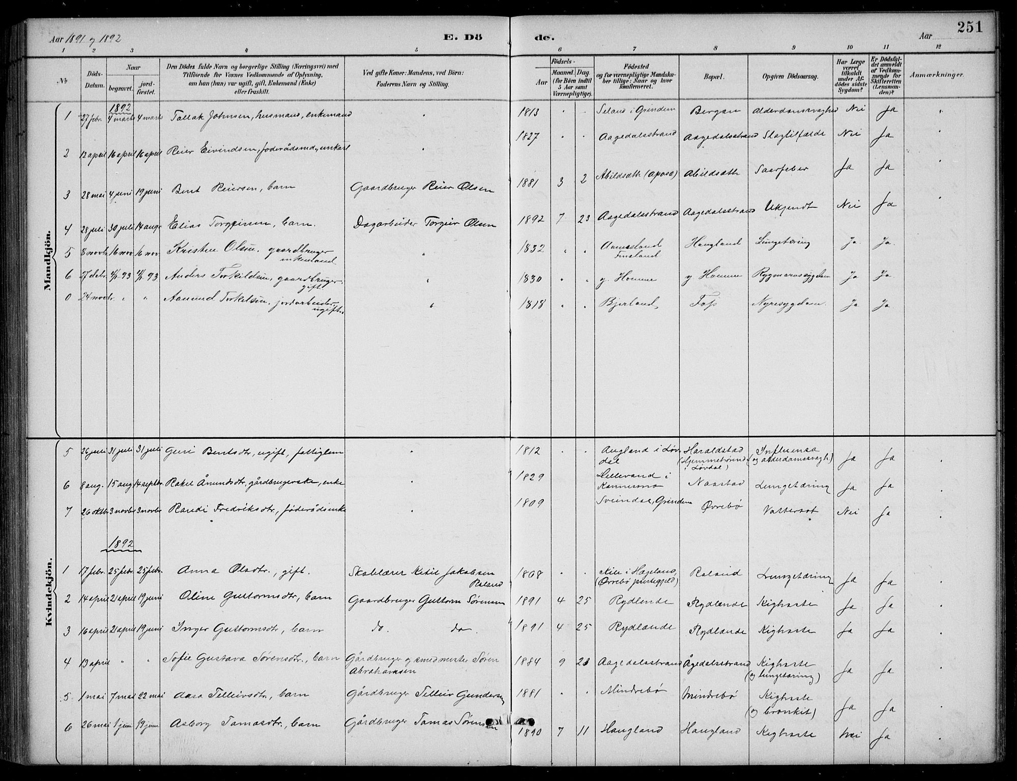 Bjelland sokneprestkontor, AV/SAK-1111-0005/F/Fb/Fba/L0005: Parish register (copy) no. B 5, 1887-1923, p. 251