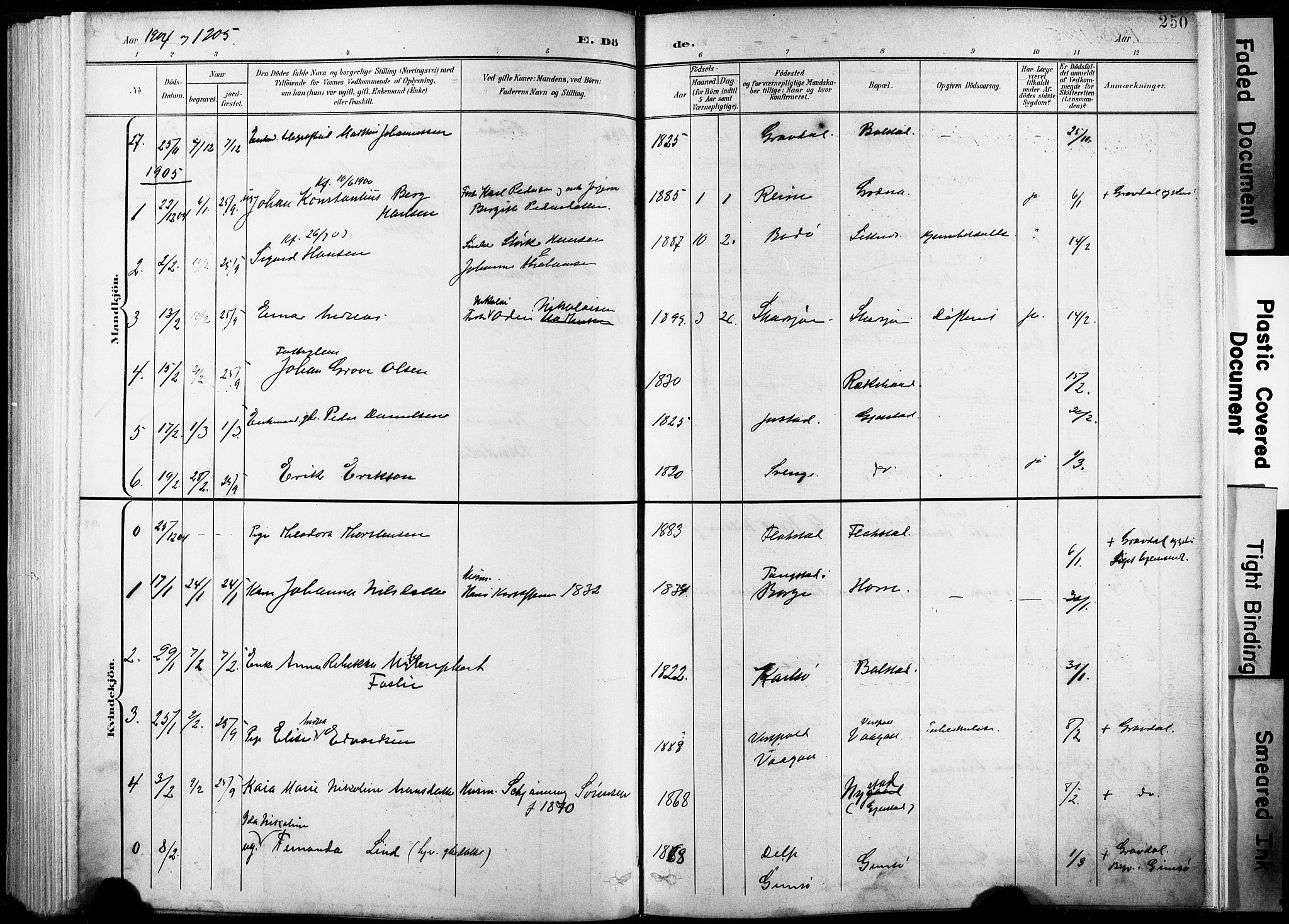 Ministerialprotokoller, klokkerbøker og fødselsregistre - Nordland, AV/SAT-A-1459/881/L1151: Parish register (official) no. 881A04, 1899-1907, p. 250