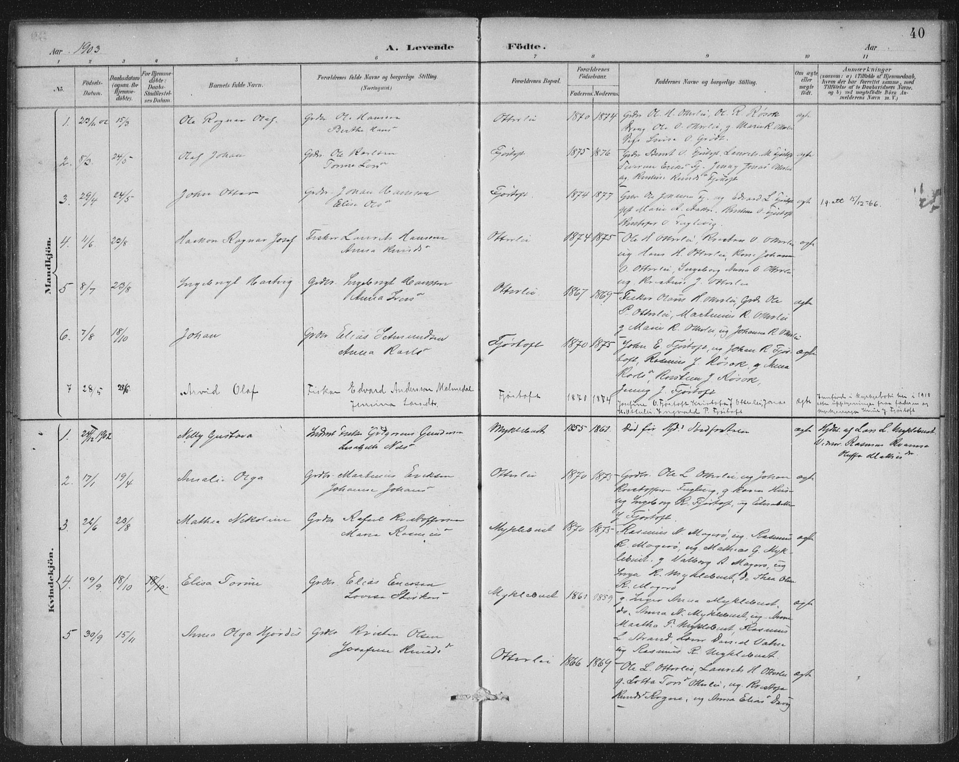 Ministerialprotokoller, klokkerbøker og fødselsregistre - Møre og Romsdal, SAT/A-1454/538/L0522: Parish register (official) no. 538A01, 1884-1913, p. 40