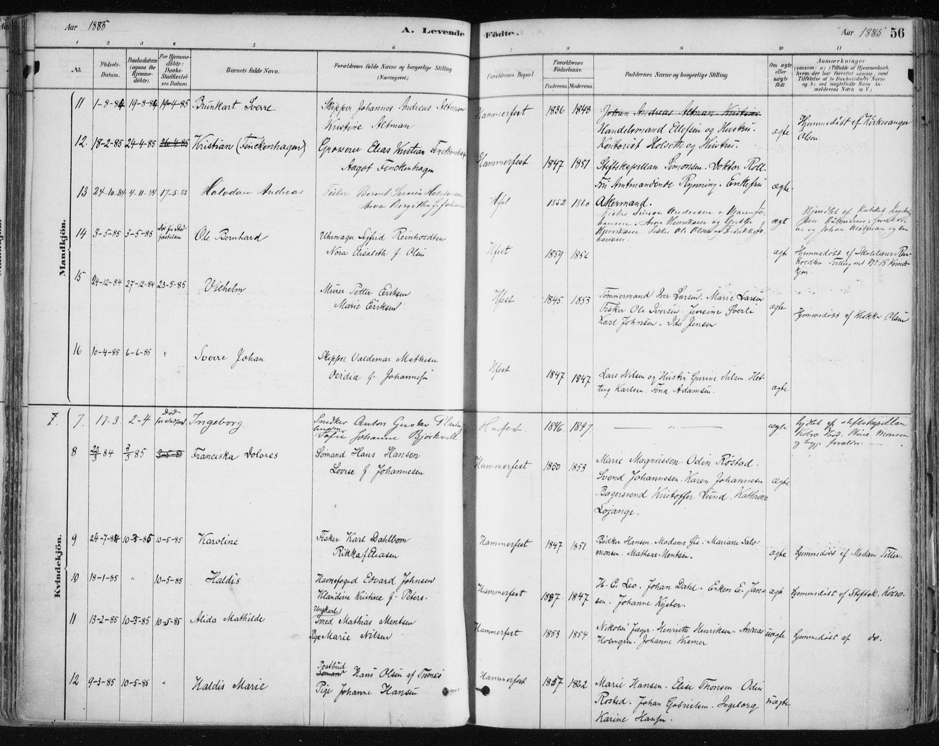 Hammerfest sokneprestkontor, SATØ/S-1347/H/Ha/L0008.kirke: Parish register (official) no. 8, 1878-1889, p. 56