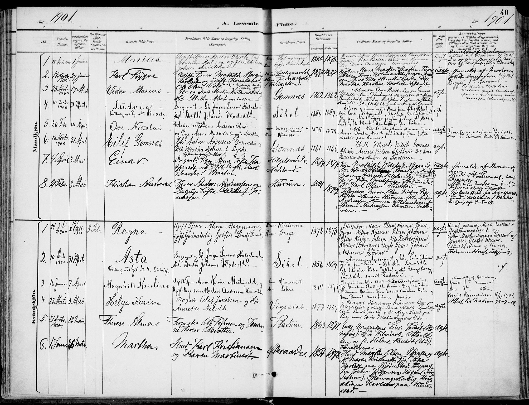 Hole kirkebøker, SAKO/A-228/F/Fa/L0009: Parish register (official) no. I 9, 1892-1907, p. 40