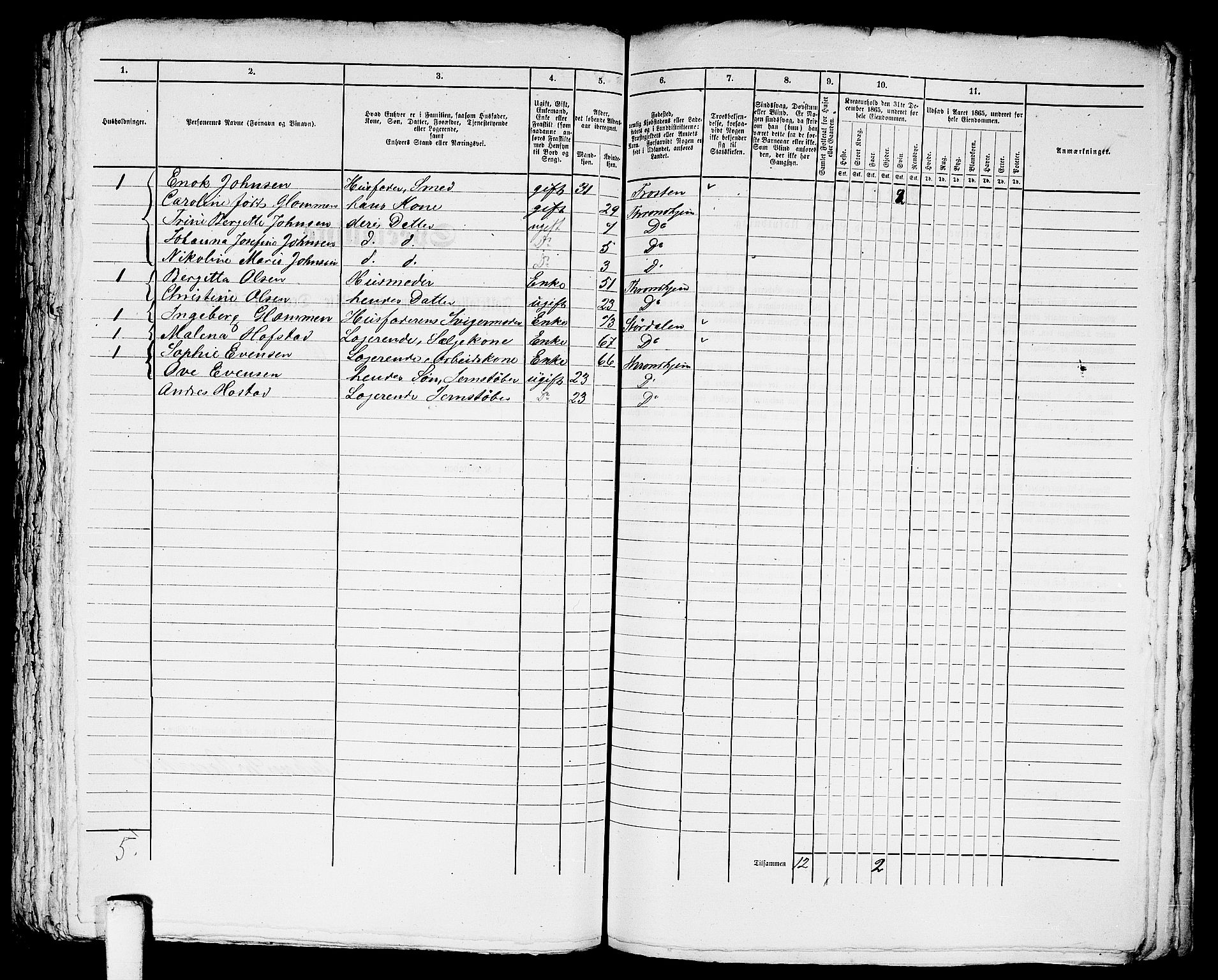 RA, 1865 census for Trondheim, 1865, p. 2443