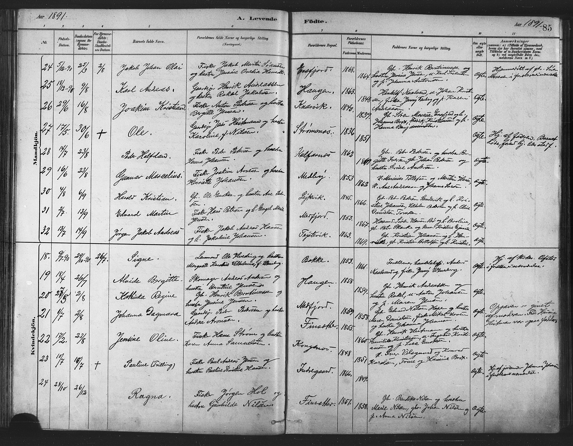 Berg sokneprestkontor, AV/SATØ-S-1318/G/Ga/Gaa/L0004kirke: Parish register (official) no. 4, 1880-1894, p. 85