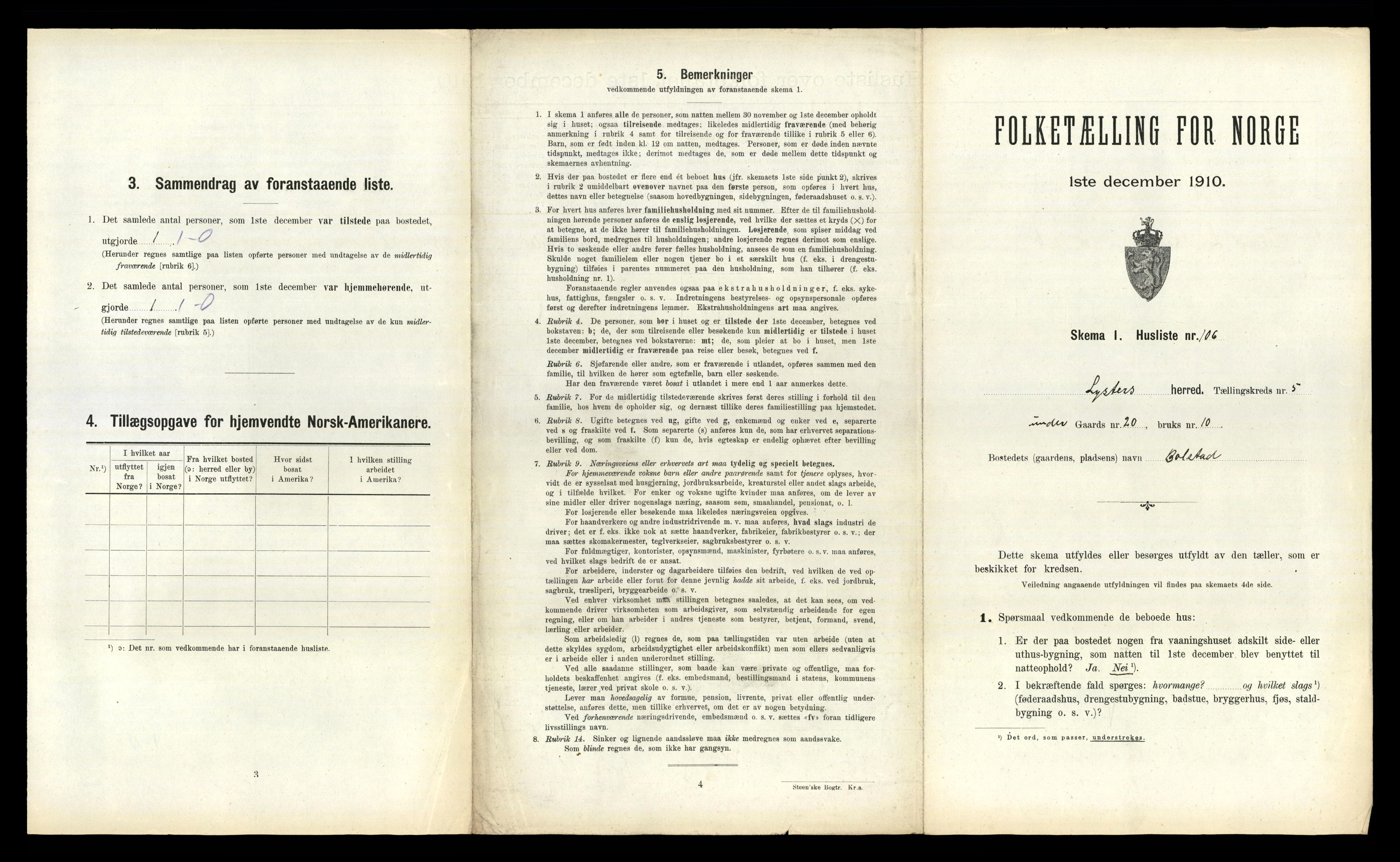 RA, 1910 census for Luster, 1910, p. 595