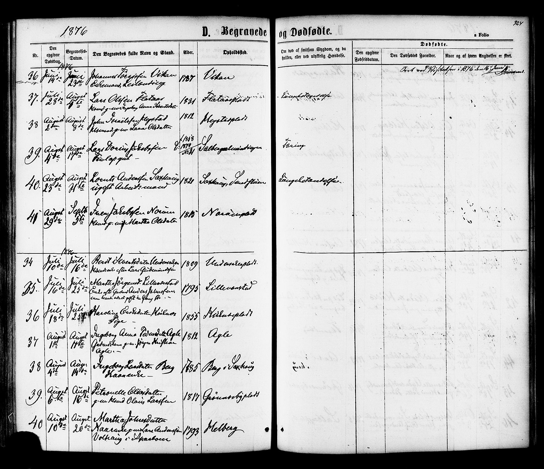 Ministerialprotokoller, klokkerbøker og fødselsregistre - Nord-Trøndelag, AV/SAT-A-1458/730/L0284: Parish register (official) no. 730A09, 1866-1878, p. 324