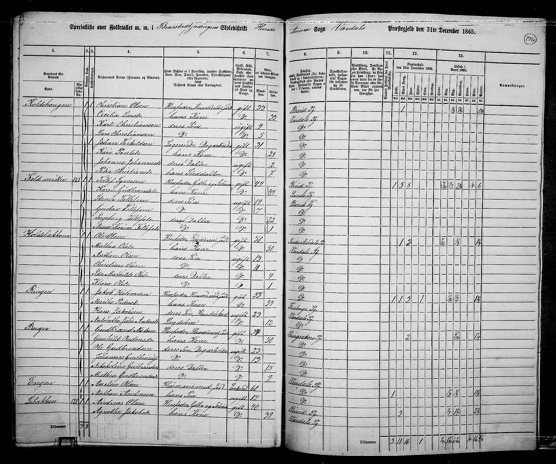 RA, 1865 census for Vardal/Vardal og Hunn, 1865, p. 155