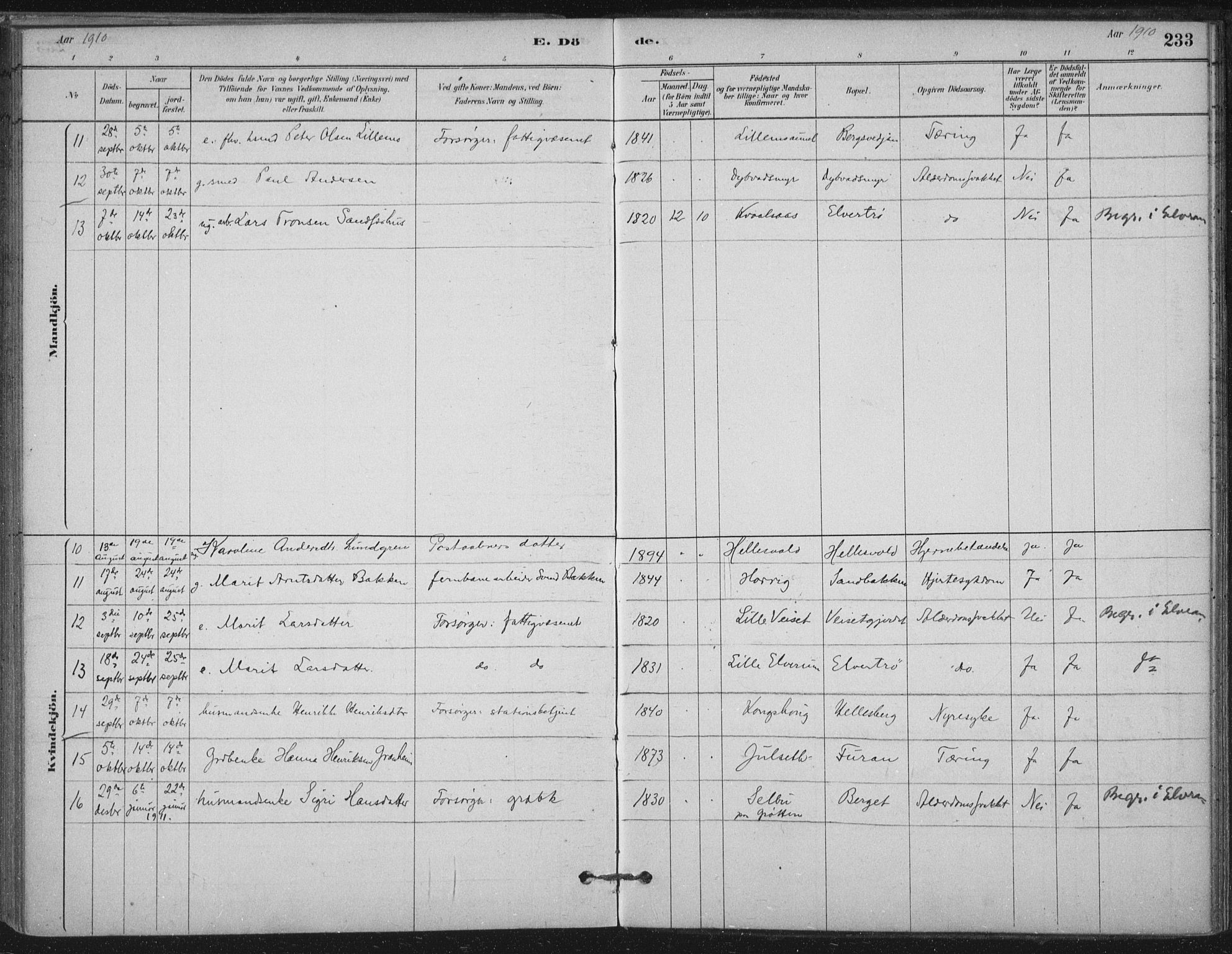 Ministerialprotokoller, klokkerbøker og fødselsregistre - Nord-Trøndelag, SAT/A-1458/710/L0095: Parish register (official) no. 710A01, 1880-1914, p. 233