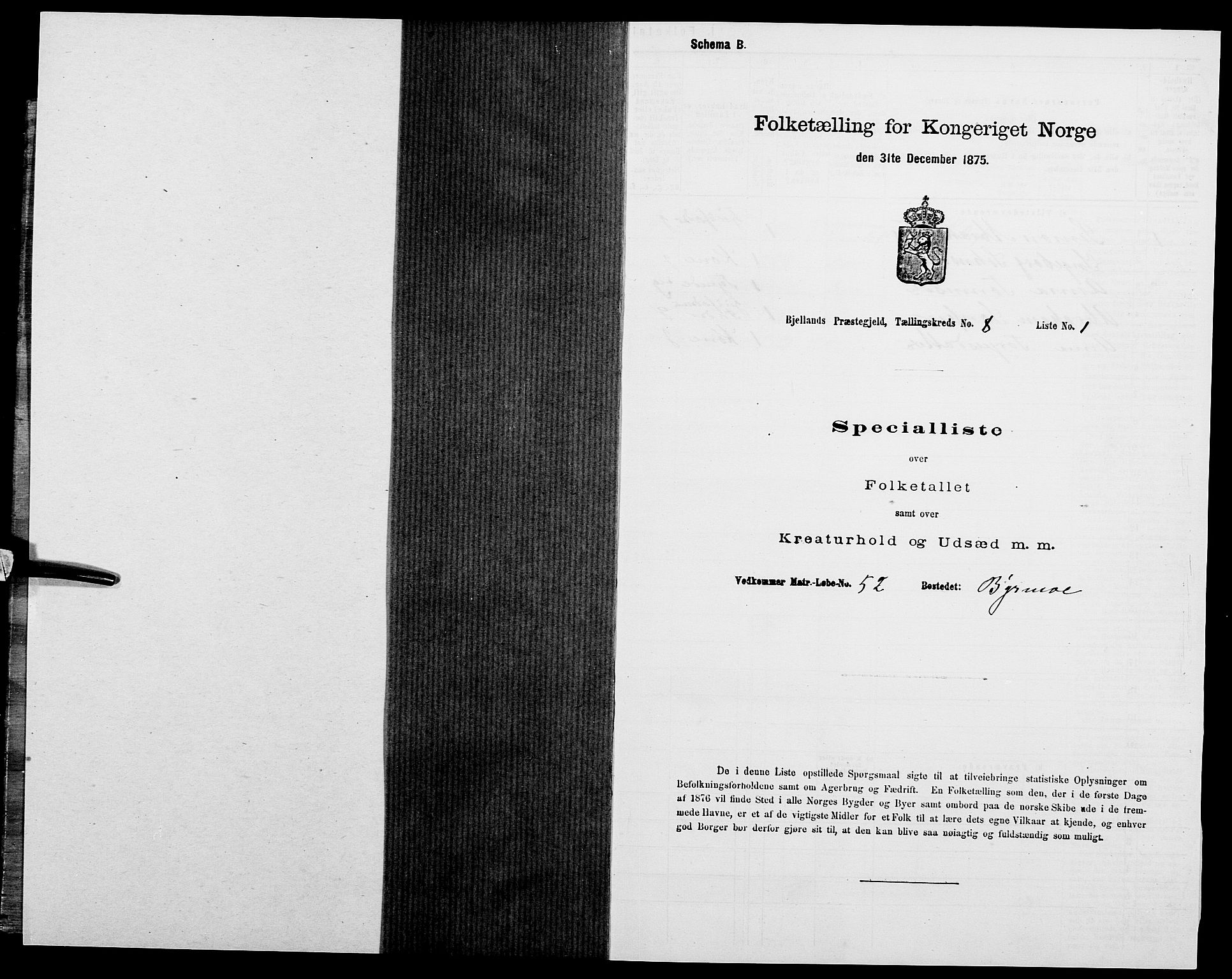 SAK, 1875 census for 1024P Bjelland, 1875, p. 508
