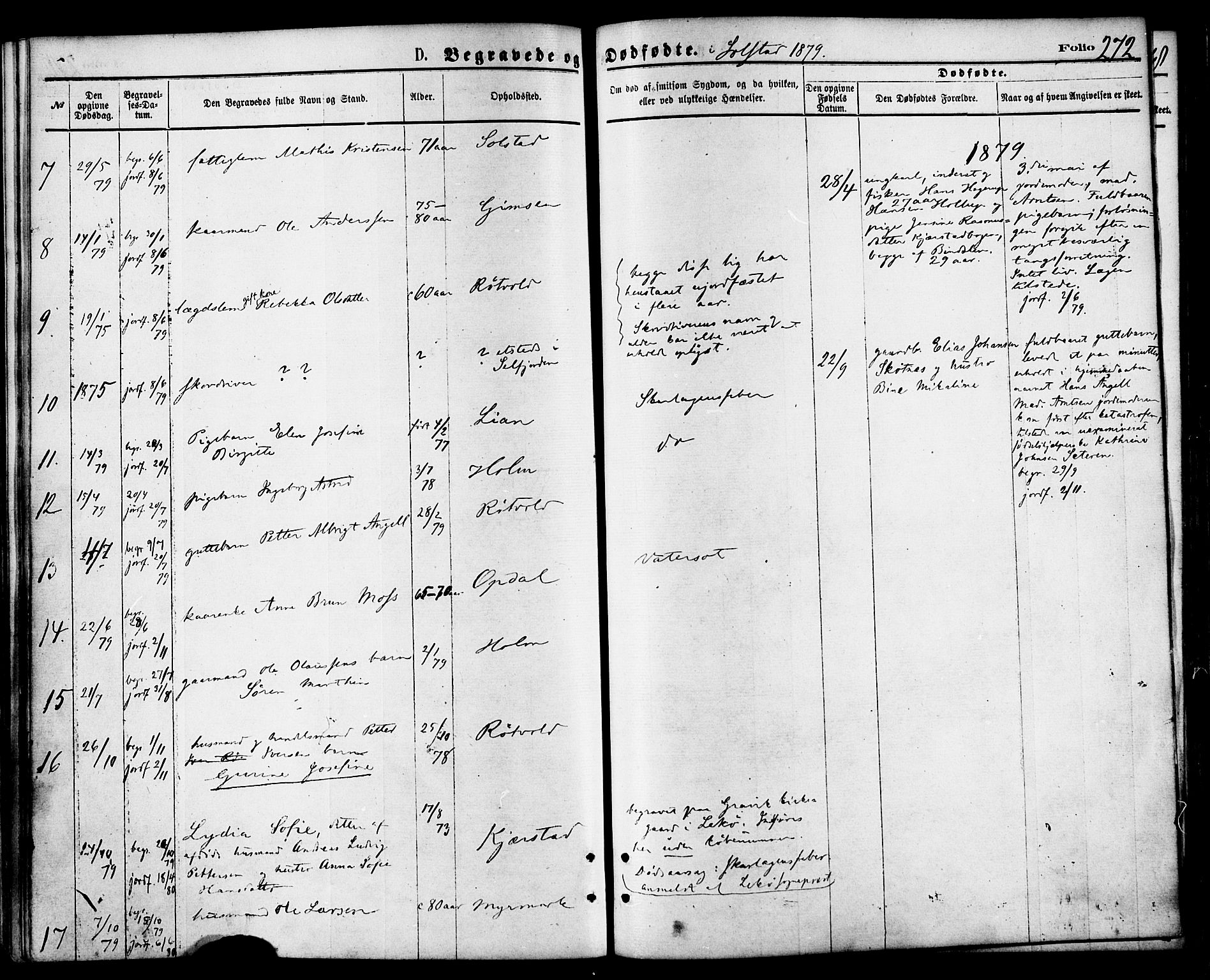 Ministerialprotokoller, klokkerbøker og fødselsregistre - Nordland, AV/SAT-A-1459/810/L0149: Parish register (official) no. 810A09 /2, 1874-1884, p. 272