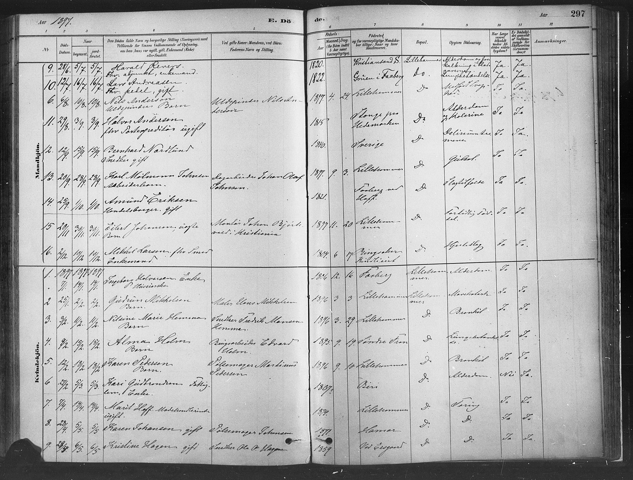 Fåberg prestekontor, AV/SAH-PREST-086/H/Ha/Haa/L0010: Parish register (official) no. 10, 1879-1900, p. 297