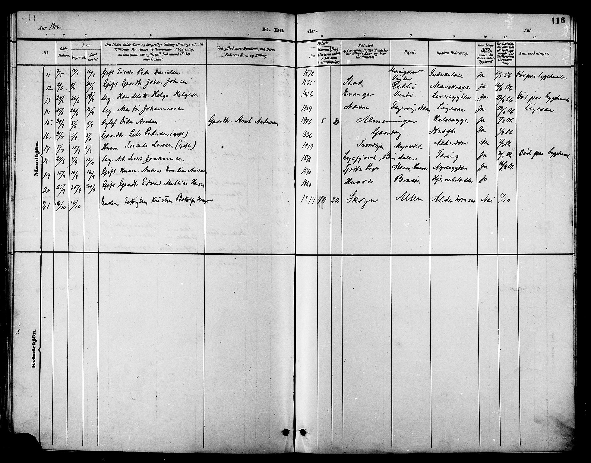 Ministerialprotokoller, klokkerbøker og fødselsregistre - Nordland, AV/SAT-A-1459/830/L0463: Parish register (copy) no. 830C05, 1895-1906, p. 116