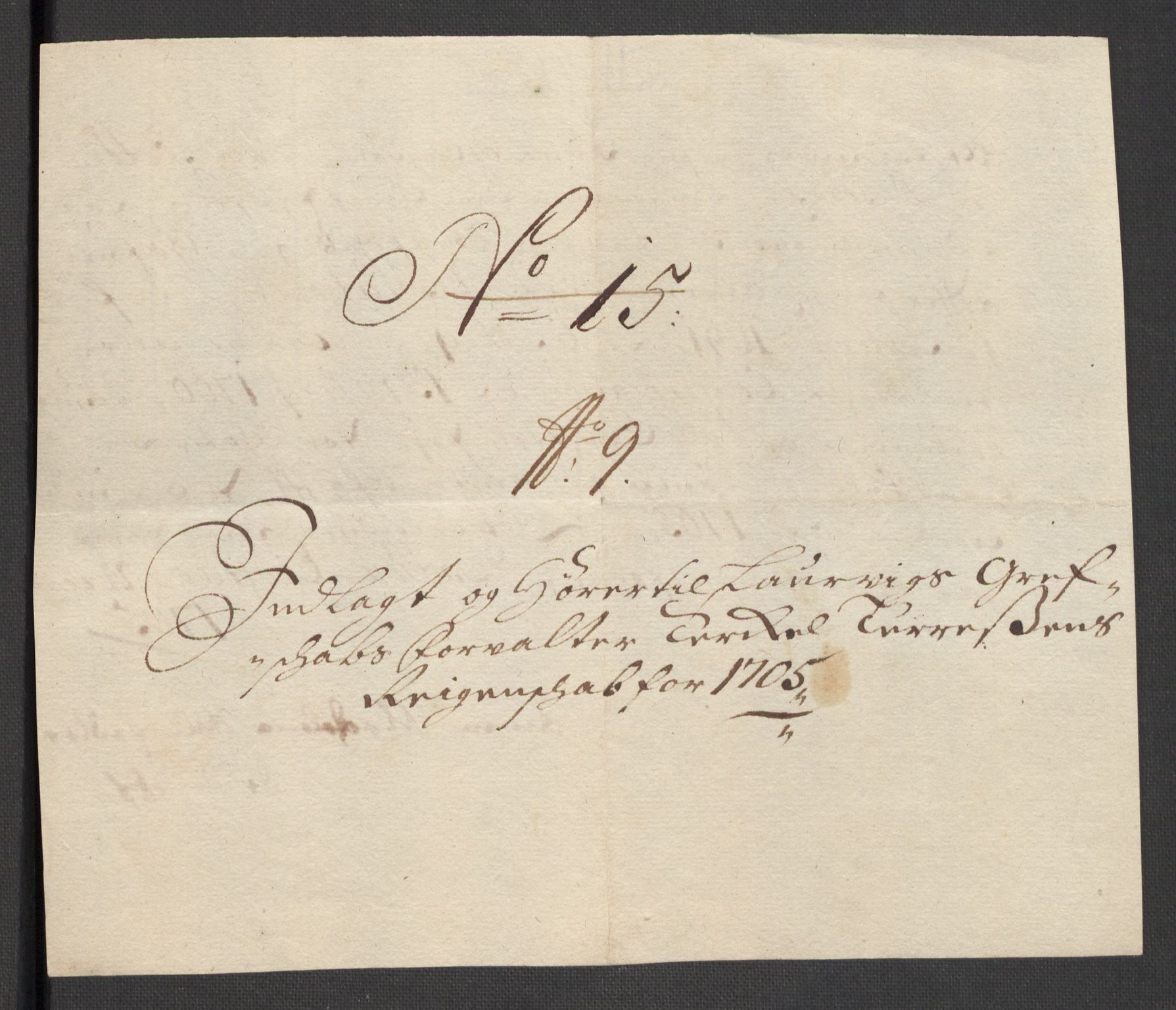 Rentekammeret inntil 1814, Reviderte regnskaper, Fogderegnskap, RA/EA-4092/R33/L1978: Fogderegnskap Larvik grevskap, 1704-1705, p. 422