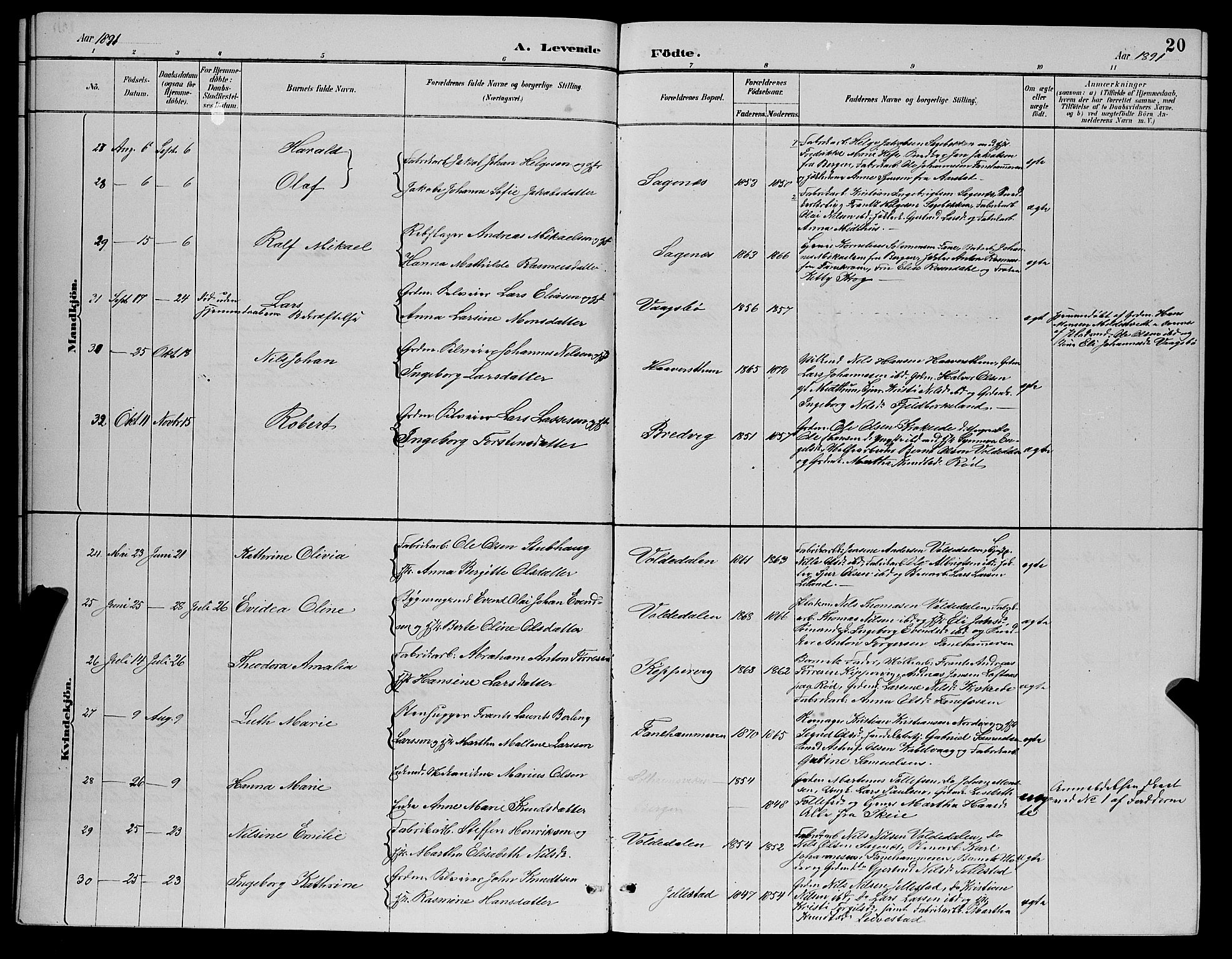 Fana Sokneprestembete, AV/SAB-A-75101/H/Hab/Haba/L0002: Parish register (copy) no. A 2, 1889-1895, p. 20