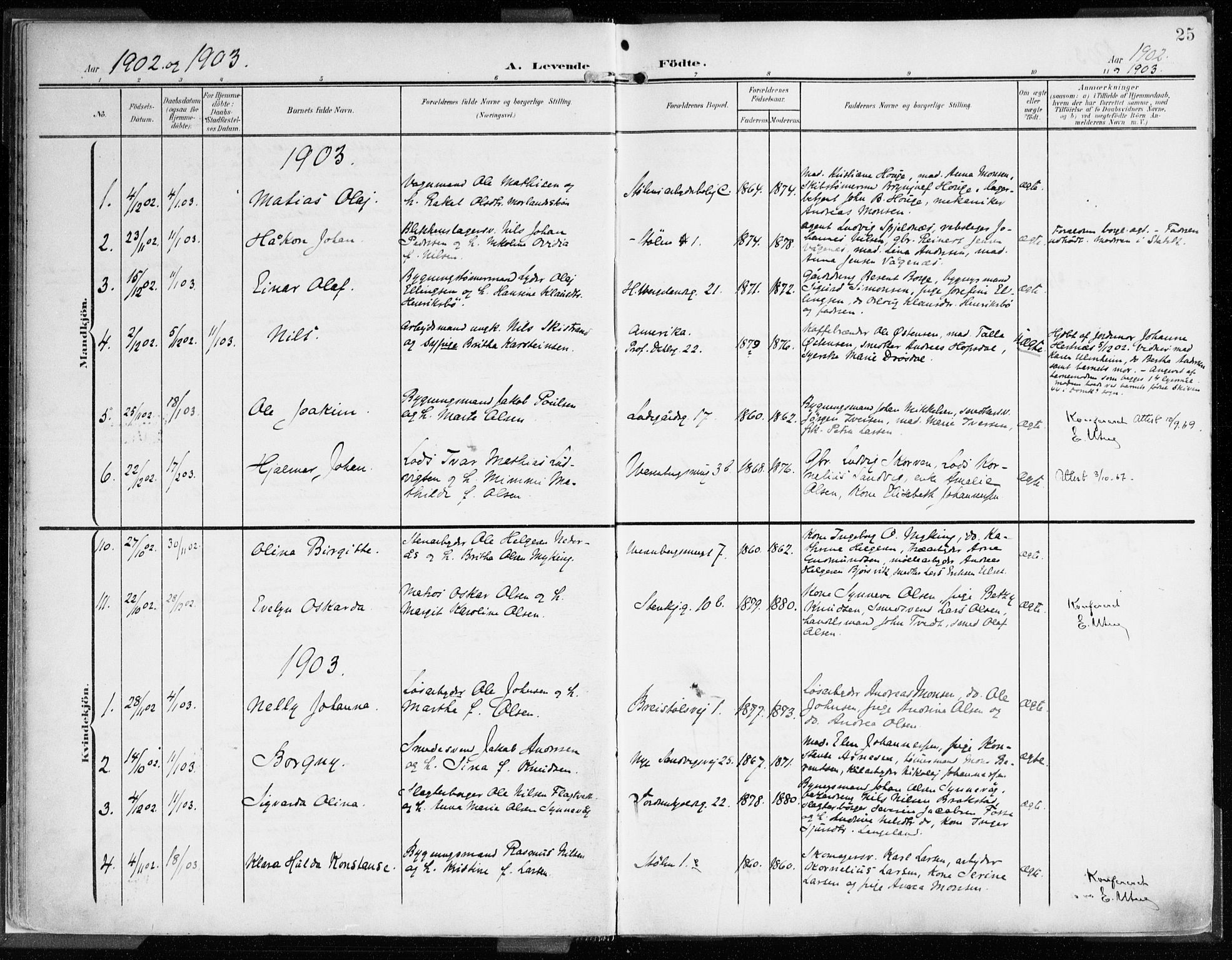 Mariakirken Sokneprestembete, SAB/A-76901/H/Haa/L0010: Parish register (official) no. B 1, 1901-1915, p. 25