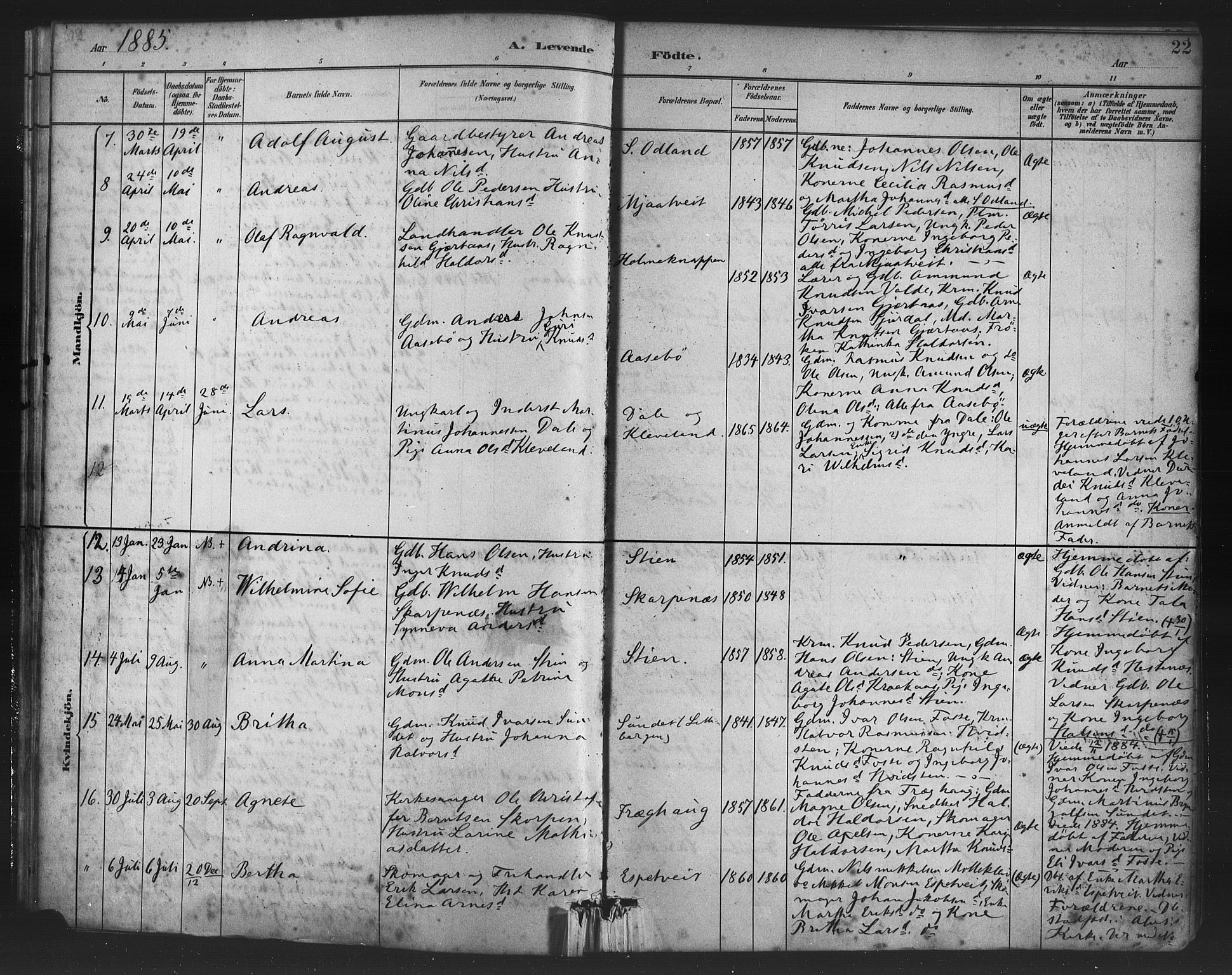 Alversund Sokneprestembete, AV/SAB-A-73901/H/Ha/Haa/Haac/L0001: Parish register (official) no. C 1, 1882-1900, p. 22