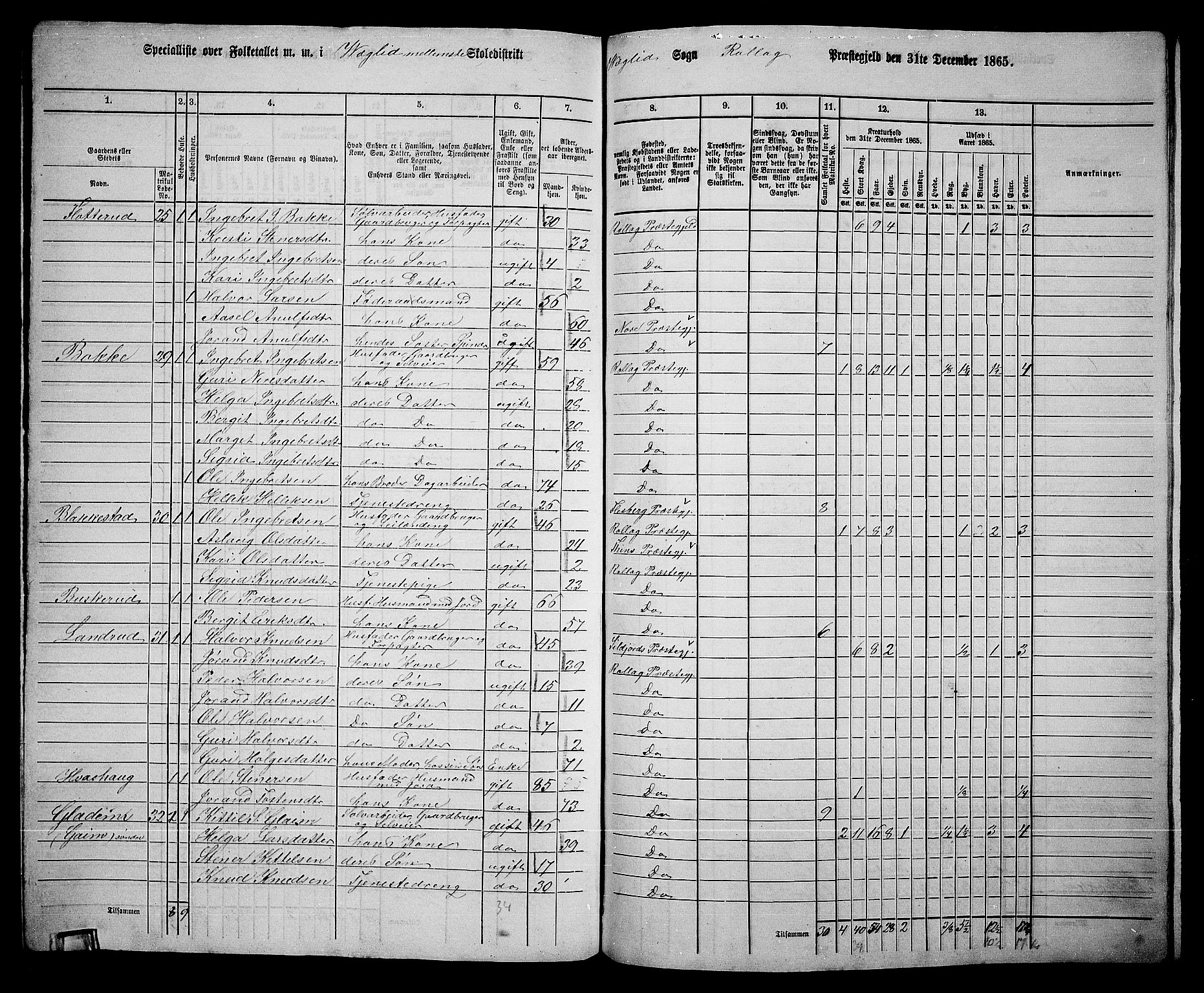 RA, 1865 census for Rollag, 1865, p. 57