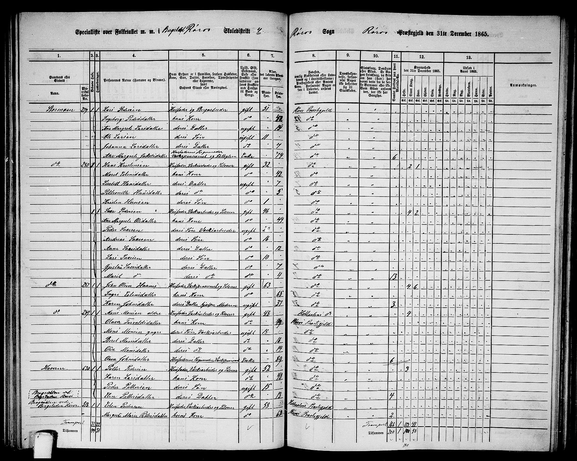 RA, 1865 census for Røros, 1865, p. 80