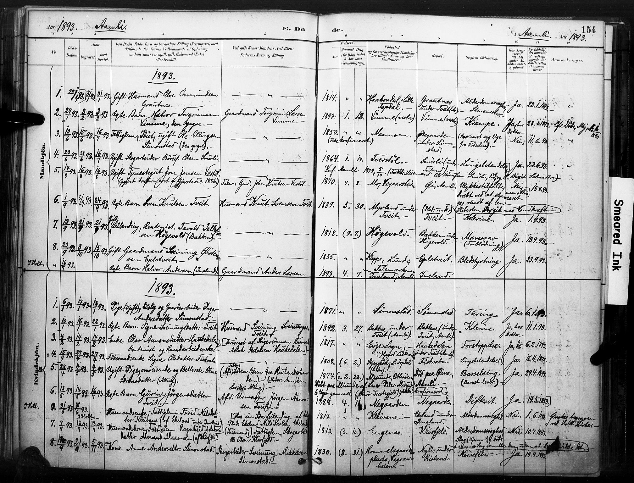 Åmli sokneprestkontor, SAK/1111-0050/F/Fa/Fac/L0010: Parish register (official) no. A 10 /1, 1885-1899, p. 154