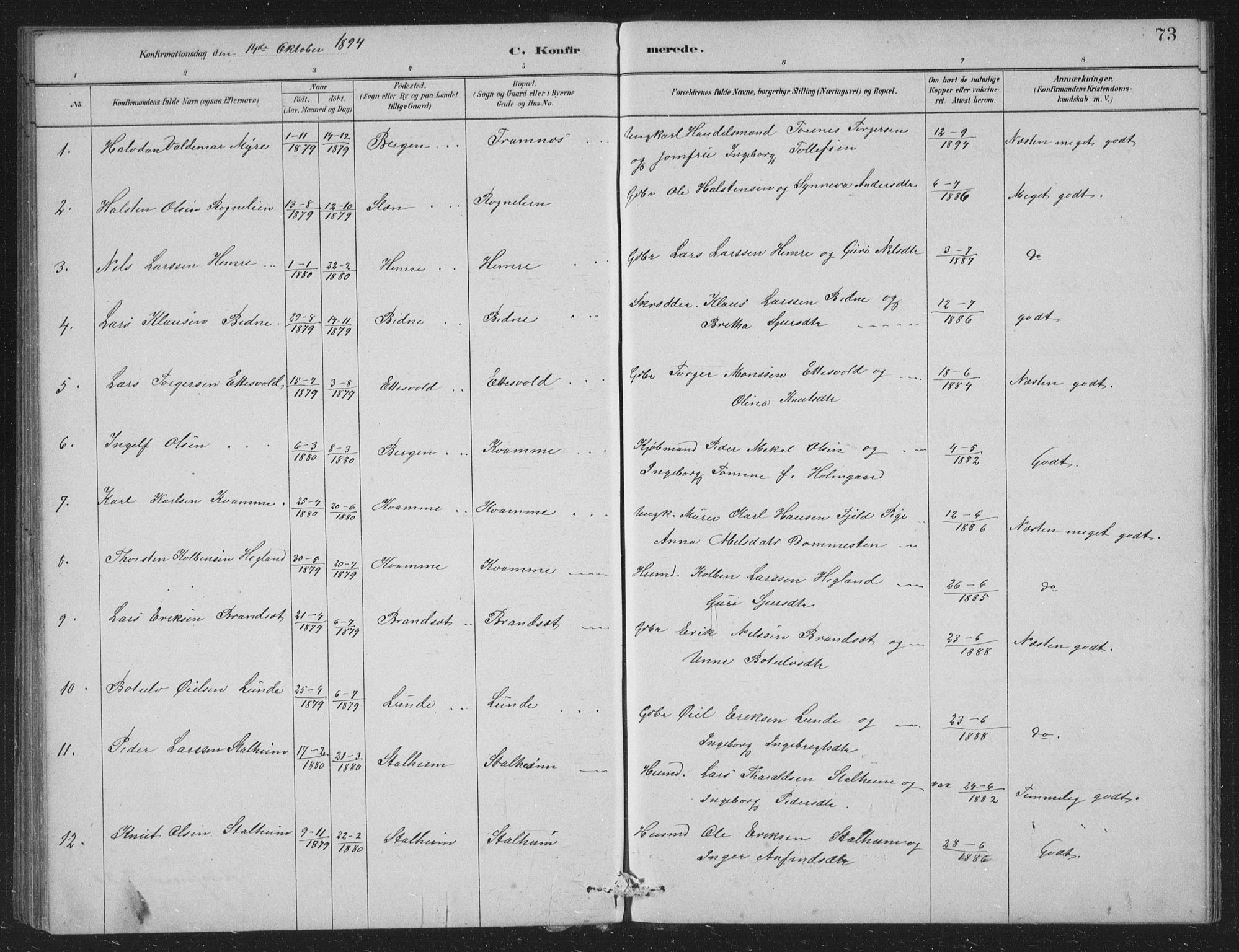 Vossestrand Sokneprestembete, SAB/A-79101/H/Hab: Parish register (copy) no. A 2, 1880-1902, p. 73