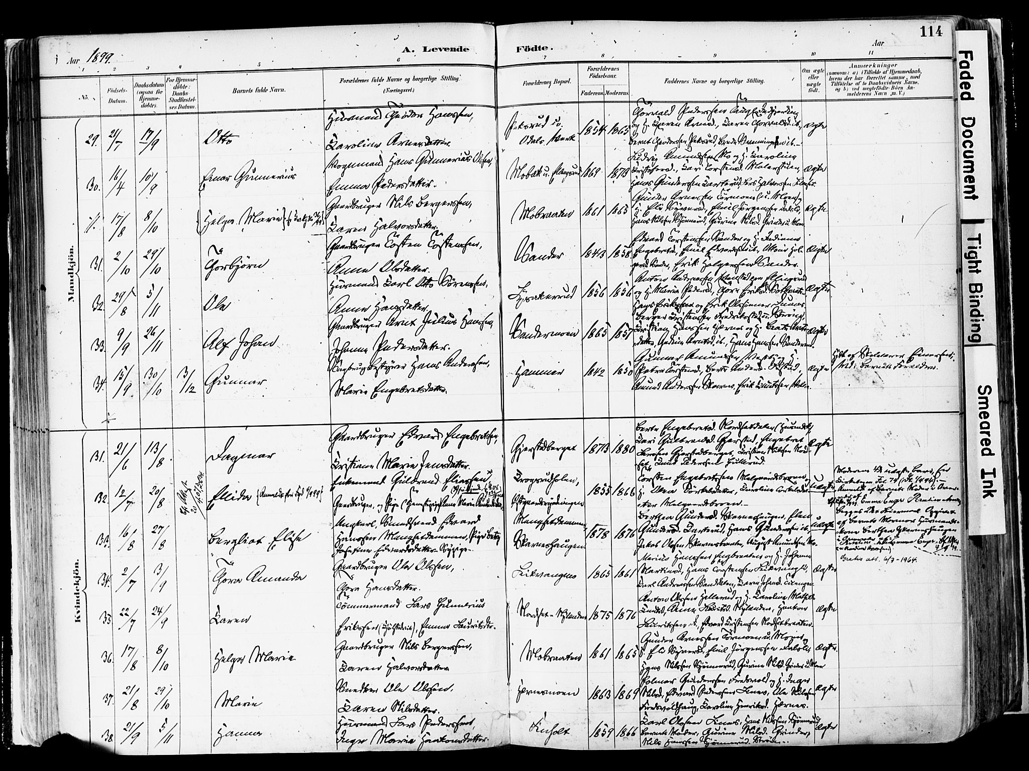 Sør-Odal prestekontor, SAH/PREST-030/H/Ha/Haa/L0006: Parish register (official) no. 6, 1886-1931, p. 114