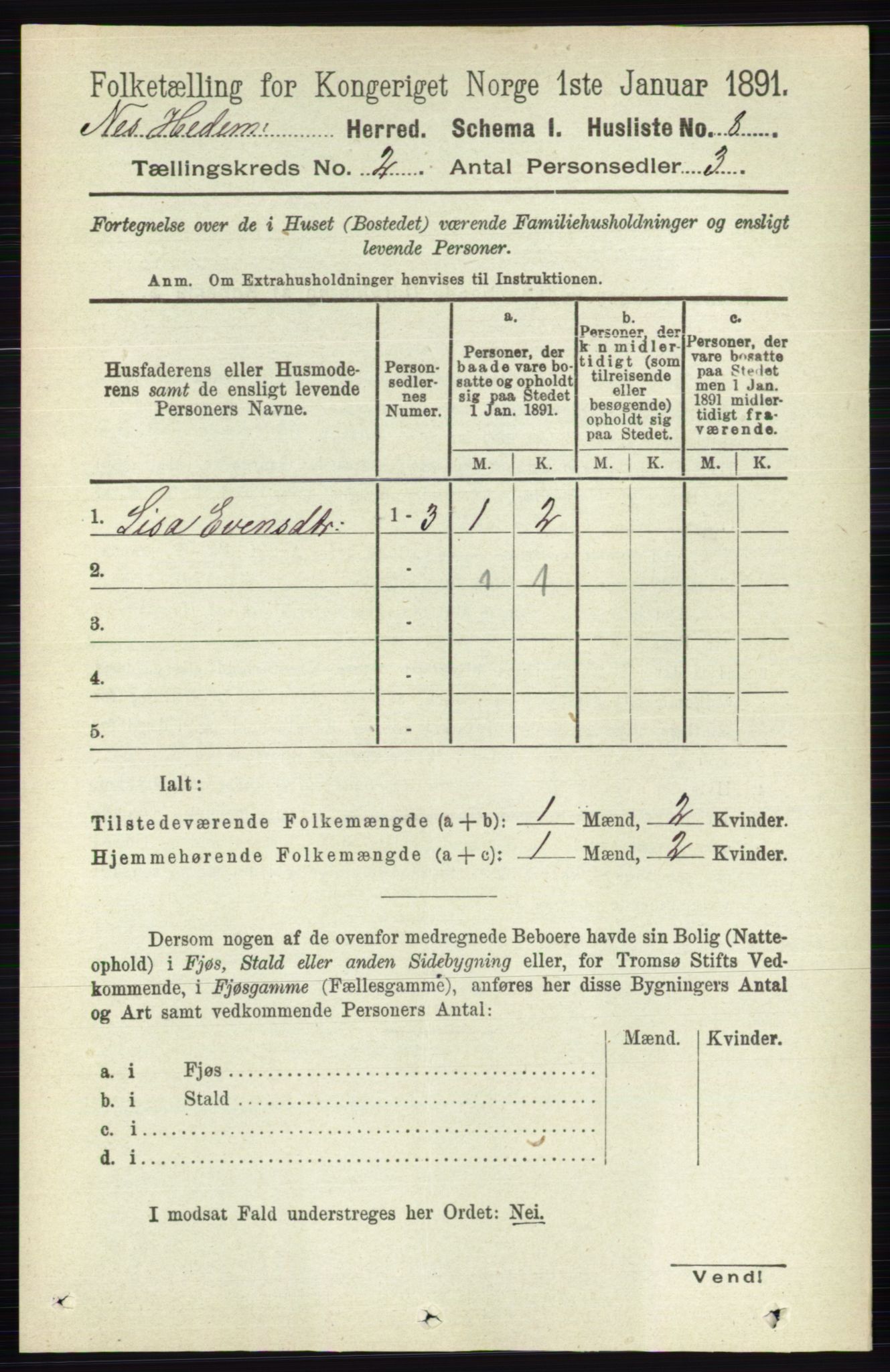 RA, 1891 census for 0411 Nes, 1891, p. 1011