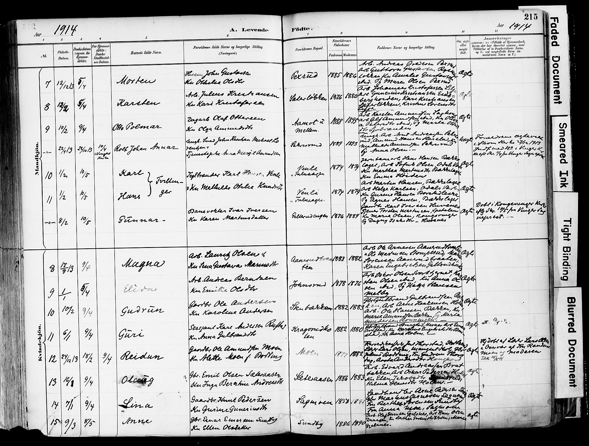 Sør-Odal prestekontor, AV/SAH-PREST-030/H/Ha/Haa/L0006: Parish register (official) no. 6, 1886-1931, p. 215