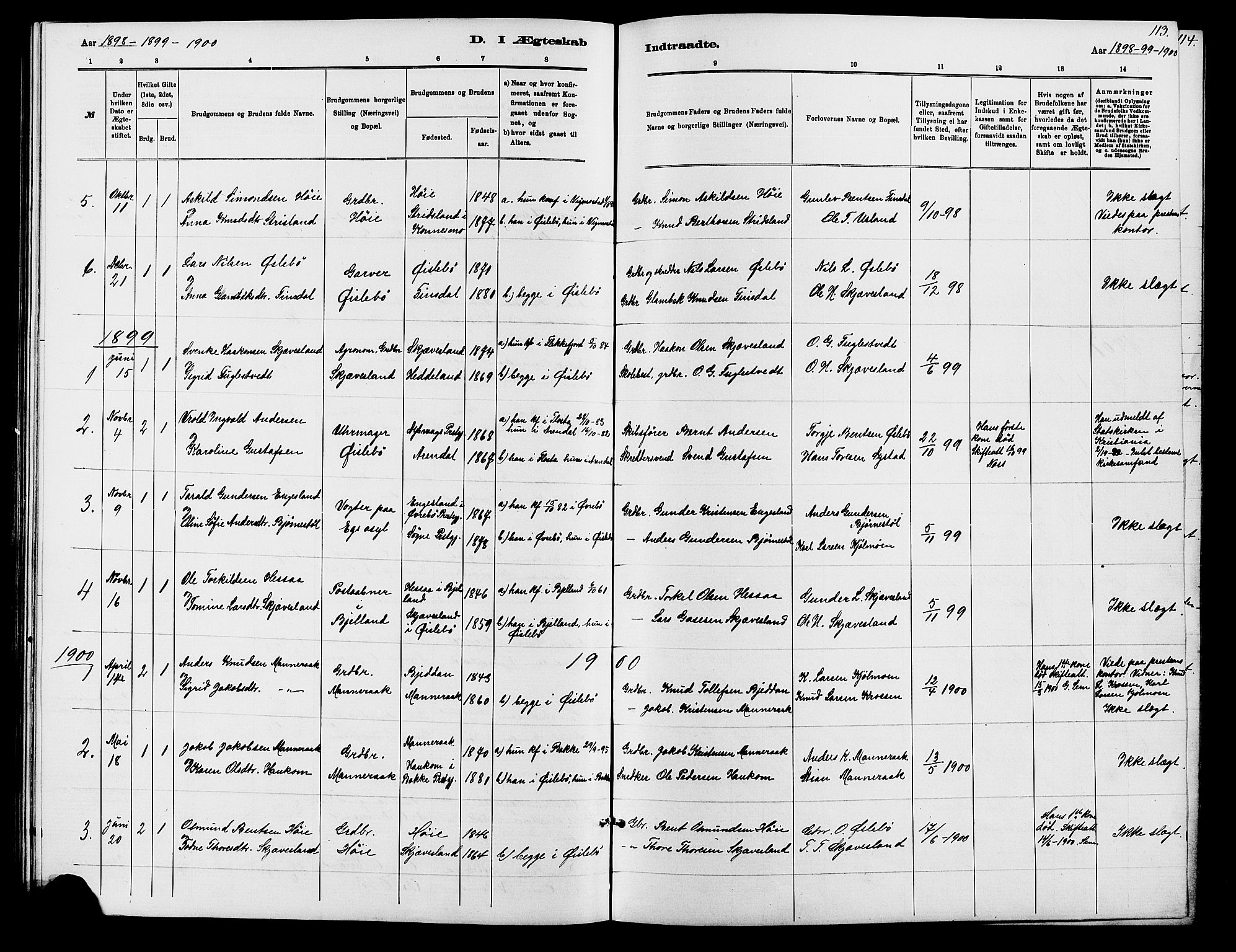 Holum sokneprestkontor, AV/SAK-1111-0022/F/Fb/Fbc/L0003: Parish register (copy) no. B 3, 1882-1908, p. 113