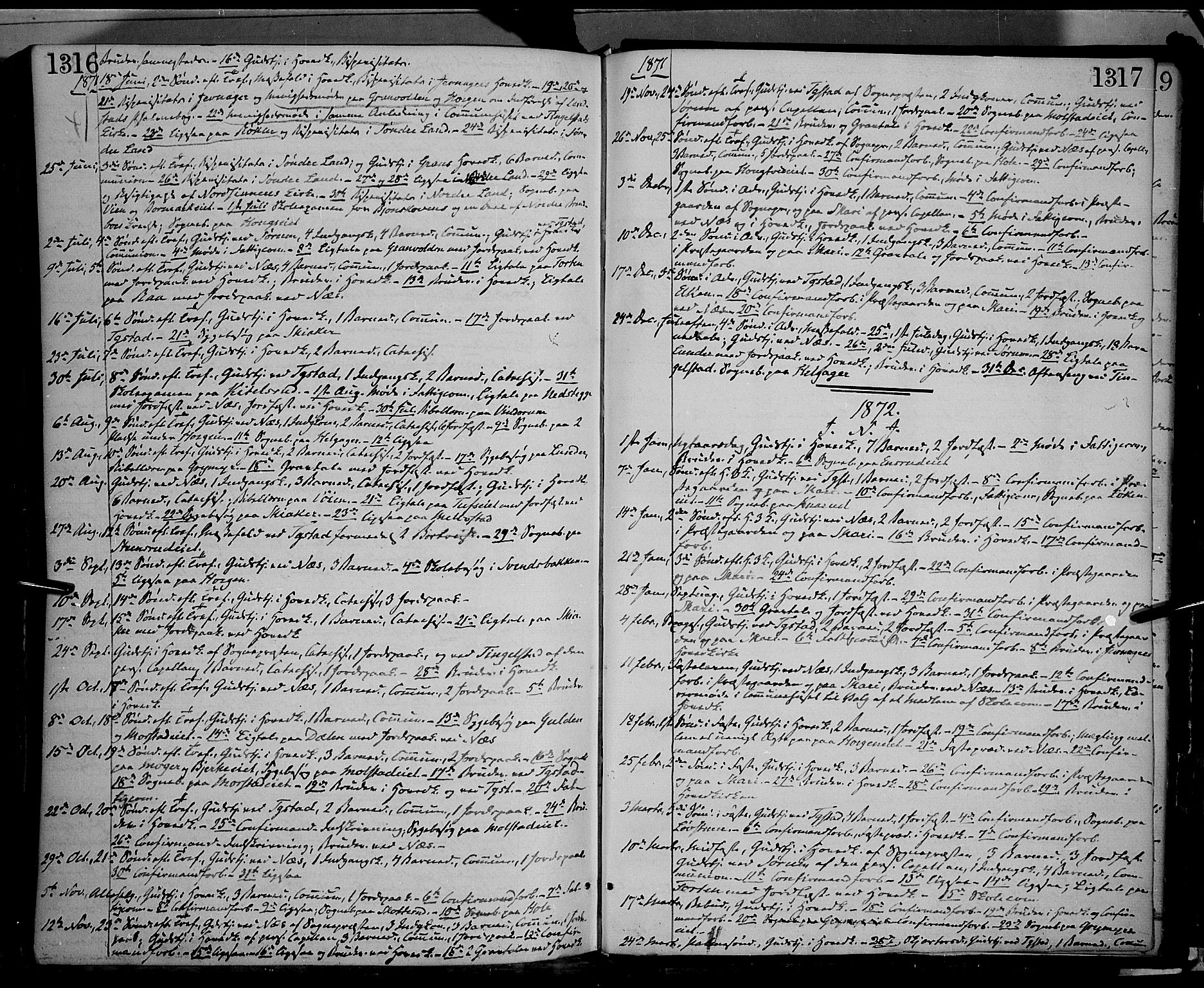 Gran prestekontor, AV/SAH-PREST-112/H/Ha/Haa/L0012: Parish register (official) no. 12, 1856-1874, p. 1316-1317
