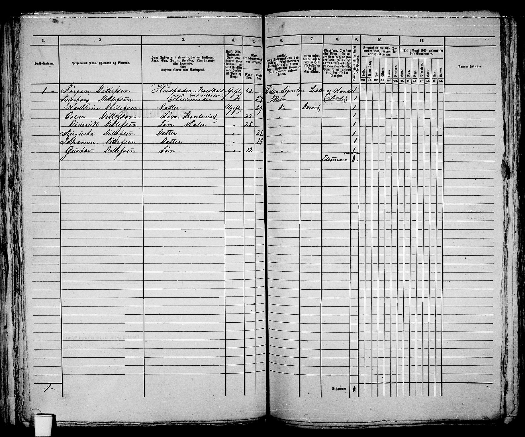 RA, 1865 census for Skien, 1865, p. 210