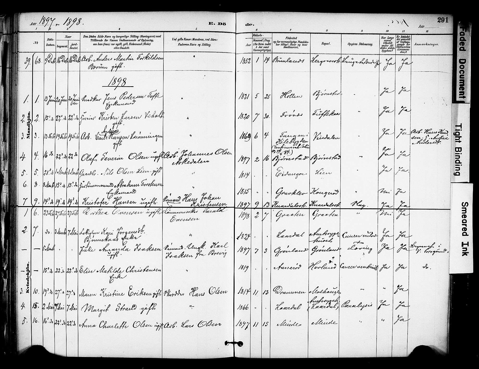 Solum kirkebøker, SAKO/A-306/F/Fa/L0010: Parish register (official) no. I 10, 1888-1898, p. 291