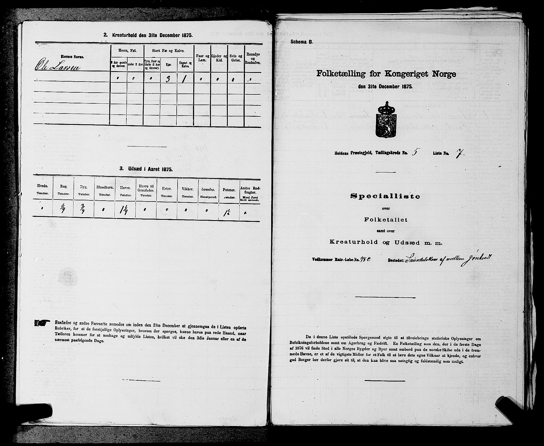 SAKO, 1875 census for 0819P Holla, 1875, p. 618