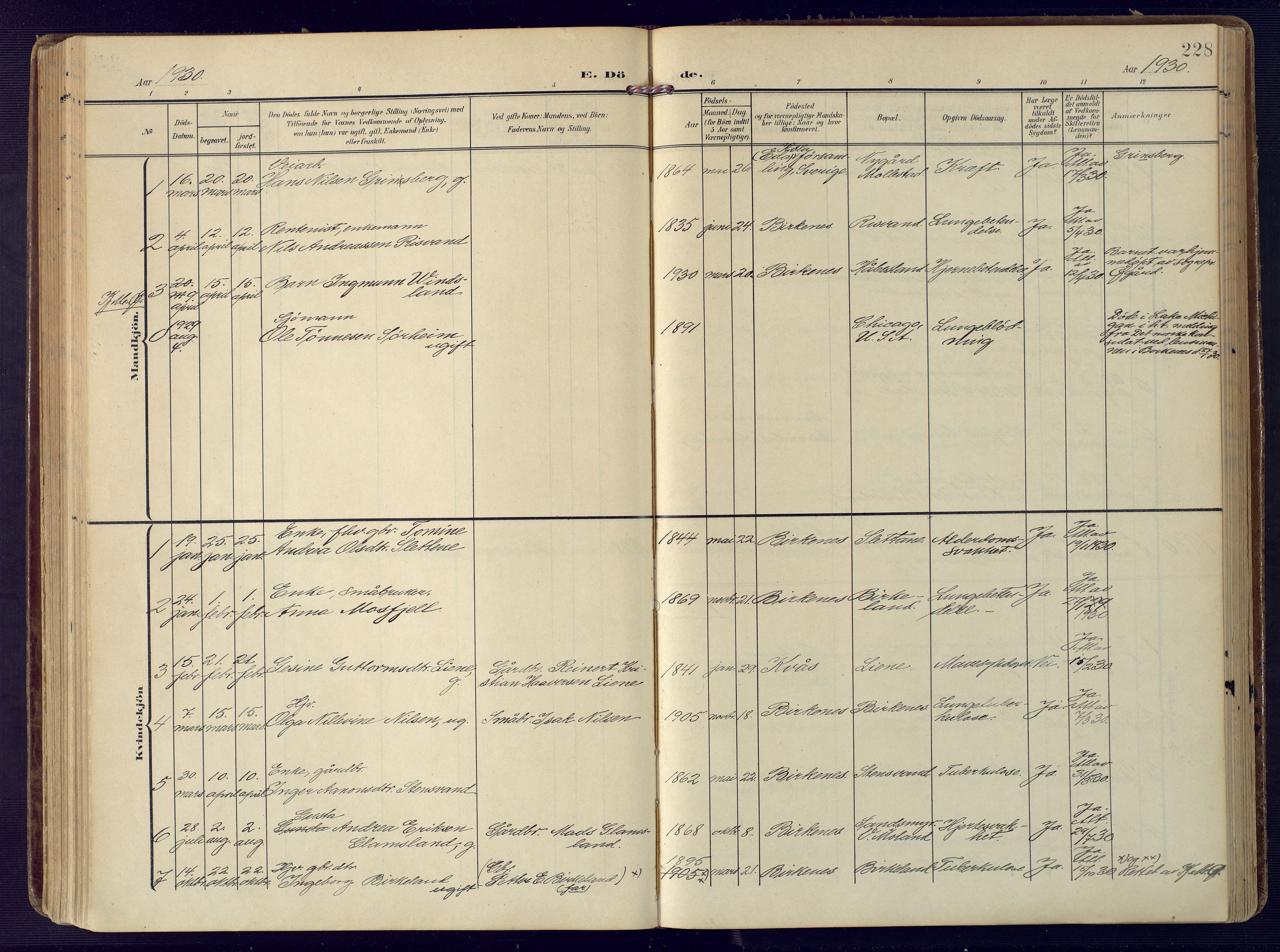 Birkenes sokneprestkontor, SAK/1111-0004/F/Fa/L0006: Parish register (official) no. A 6, 1908-1932, p. 228