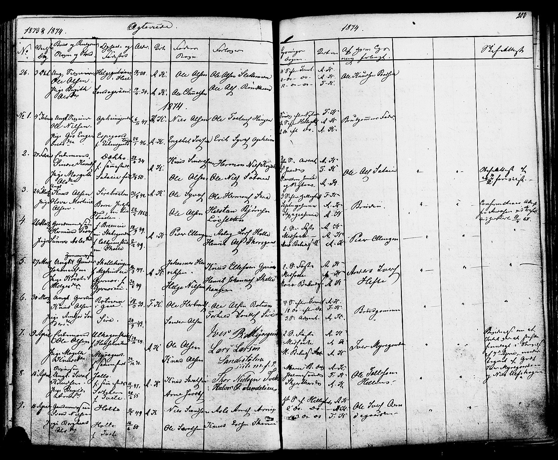 Ål kirkebøker, AV/SAKO-A-249/F/Fa/L0007: Parish register (official) no. I 7, 1865-1881, p. 203