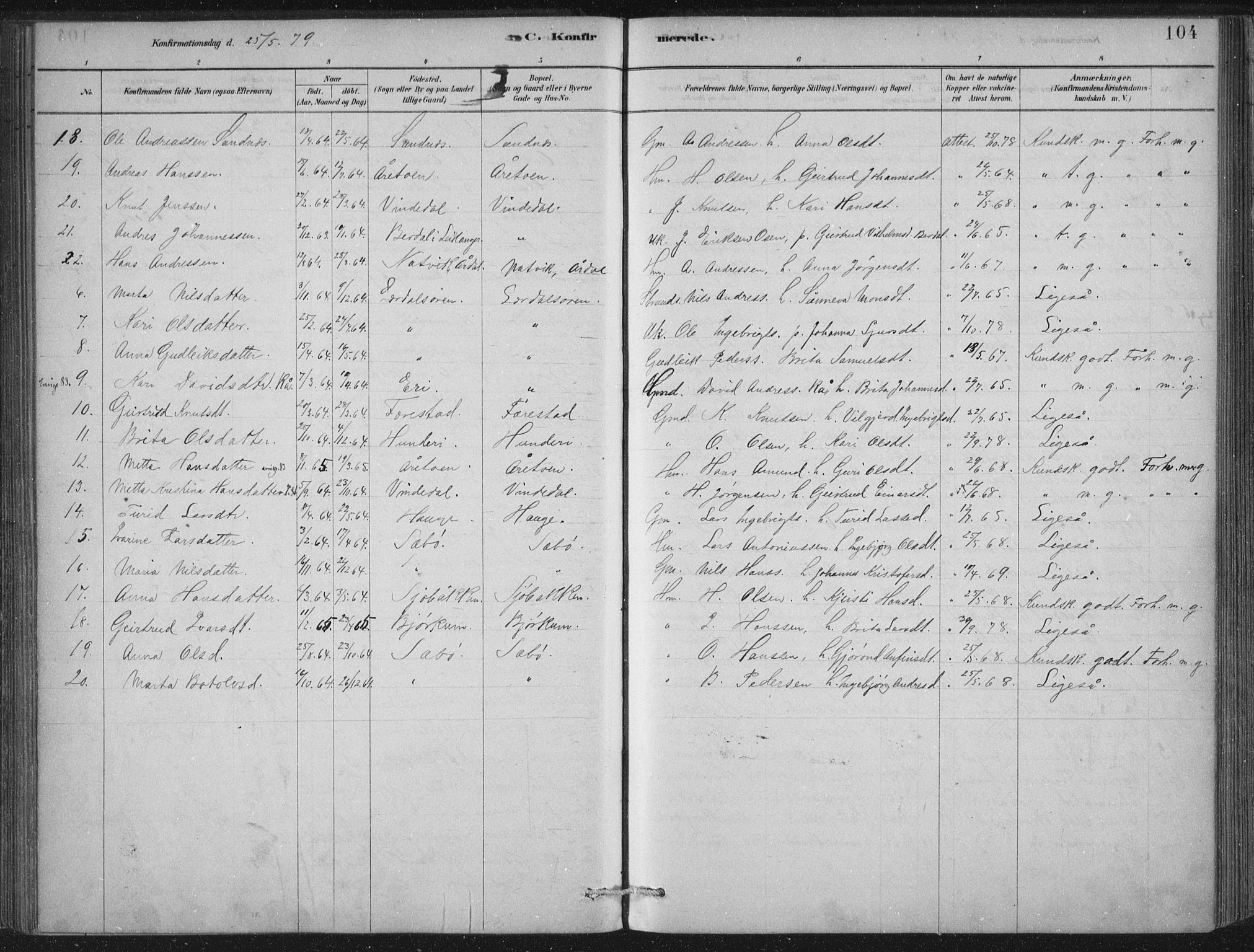 Lærdal sokneprestembete, SAB/A-81201: Parish register (official) no. D  1, 1878-1908, p. 104