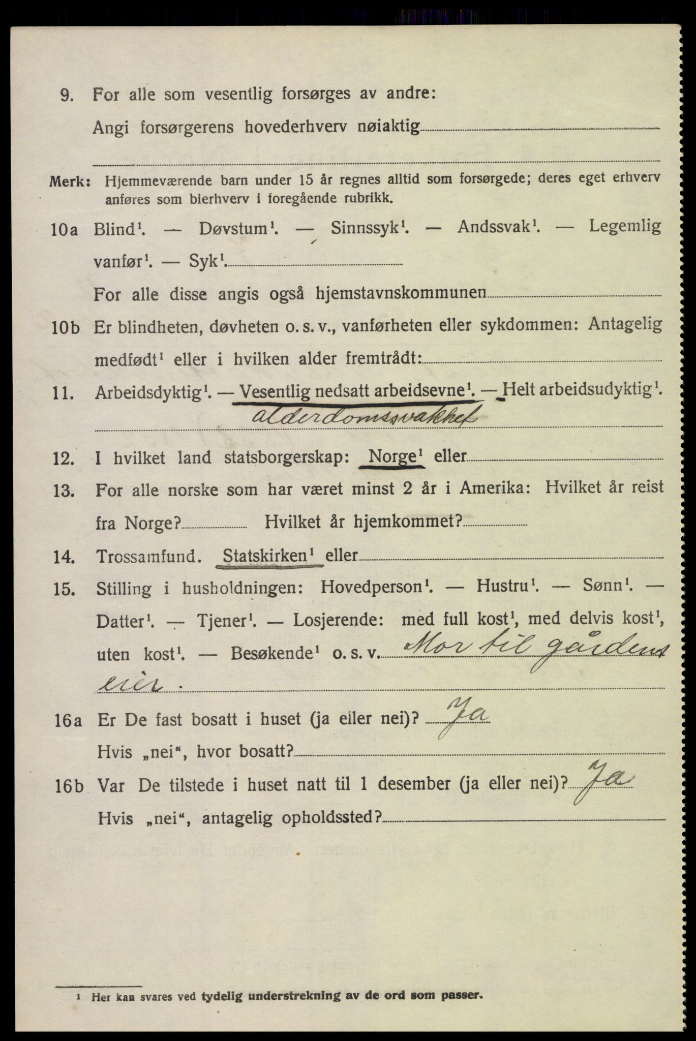 SAKO, 1920 census for Gjerpen, 1920, p. 13917