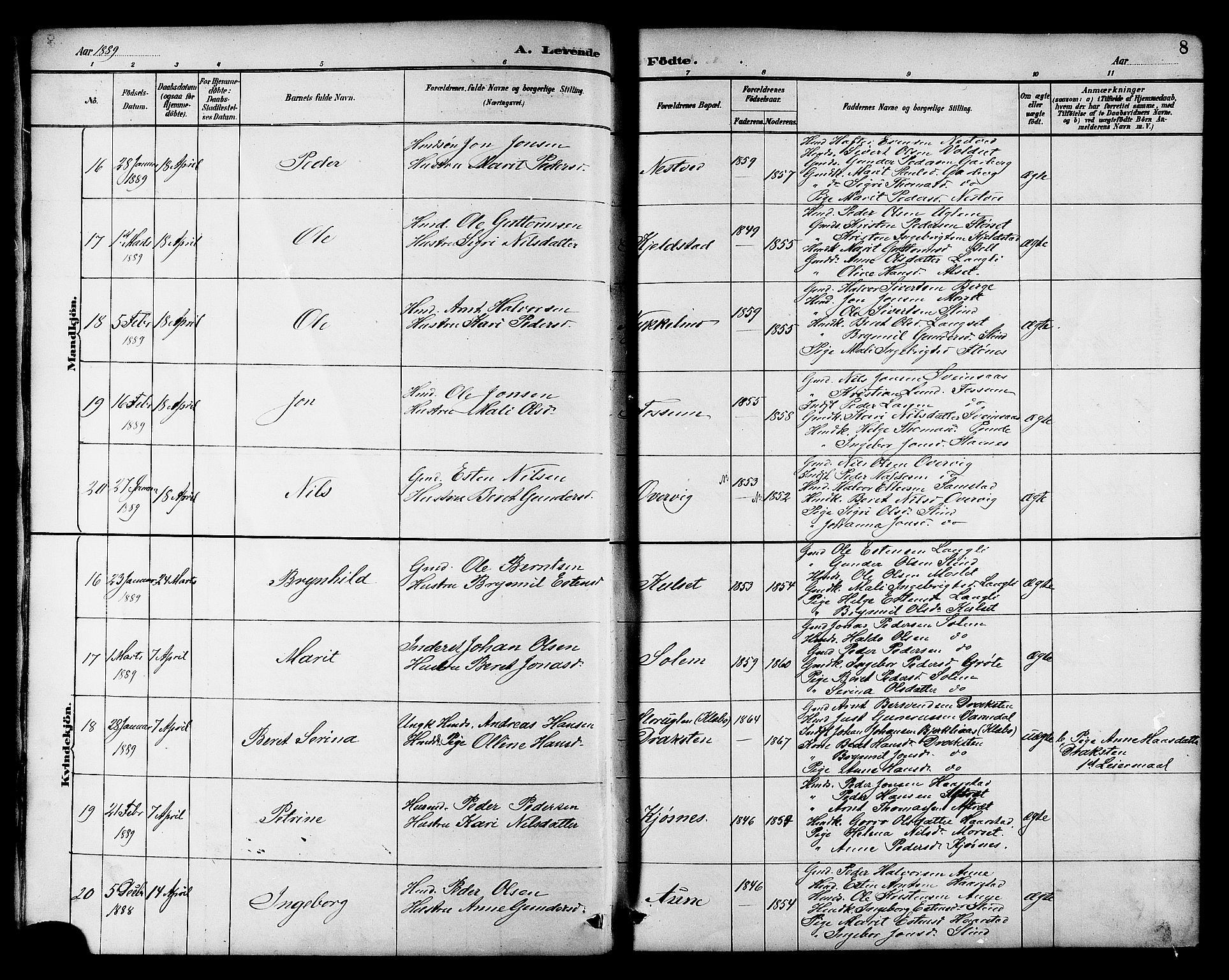 Ministerialprotokoller, klokkerbøker og fødselsregistre - Sør-Trøndelag, AV/SAT-A-1456/695/L1157: Parish register (copy) no. 695C08, 1889-1913, p. 8