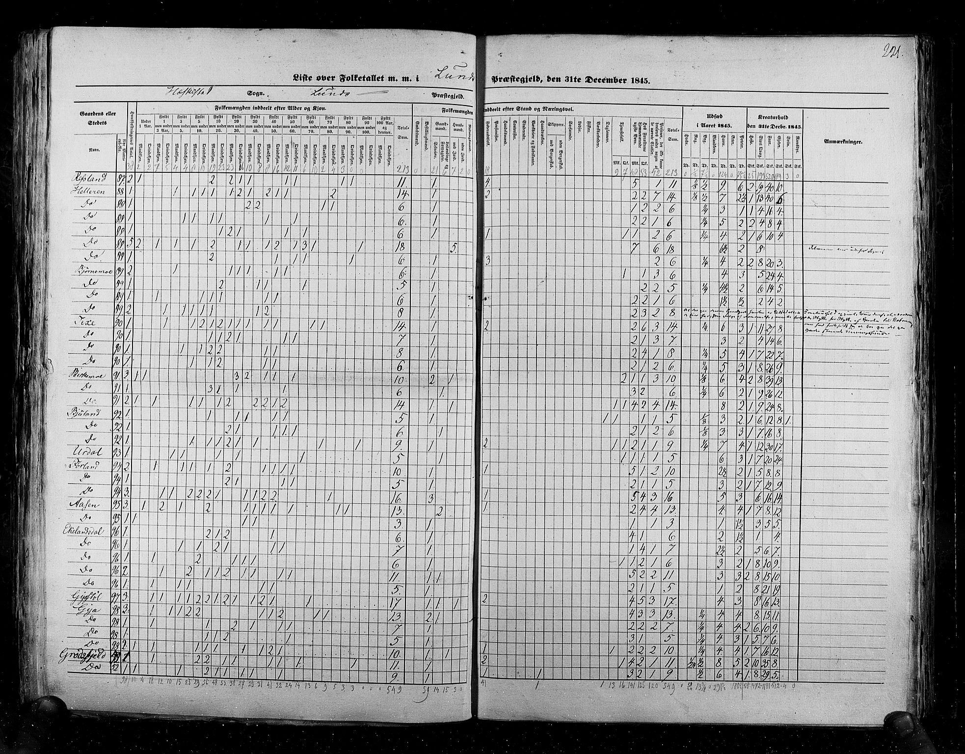 RA, Census 1845, vol. 6: Lister og Mandal amt og Stavanger amt, 1845, p. 221