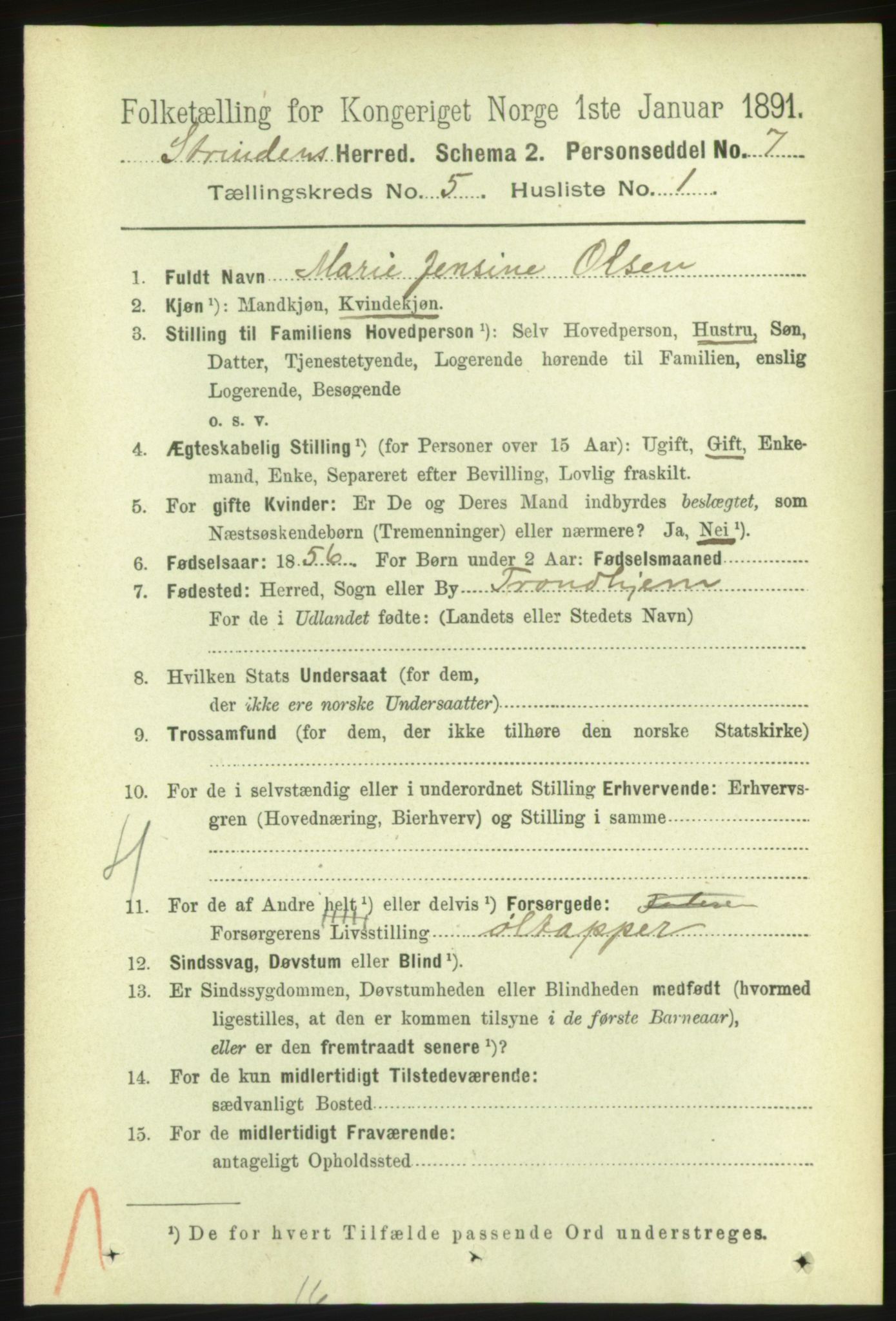 RA, 1891 census for 1660 Strinda, 1891, p. 4221