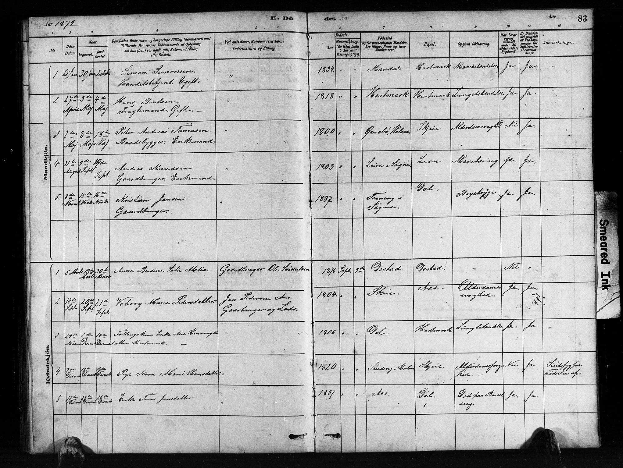 Mandal sokneprestkontor, SAK/1111-0030/F/Fb/Fbb/L0004: Parish register (copy) no. B 4, 1878-1913, p. 83