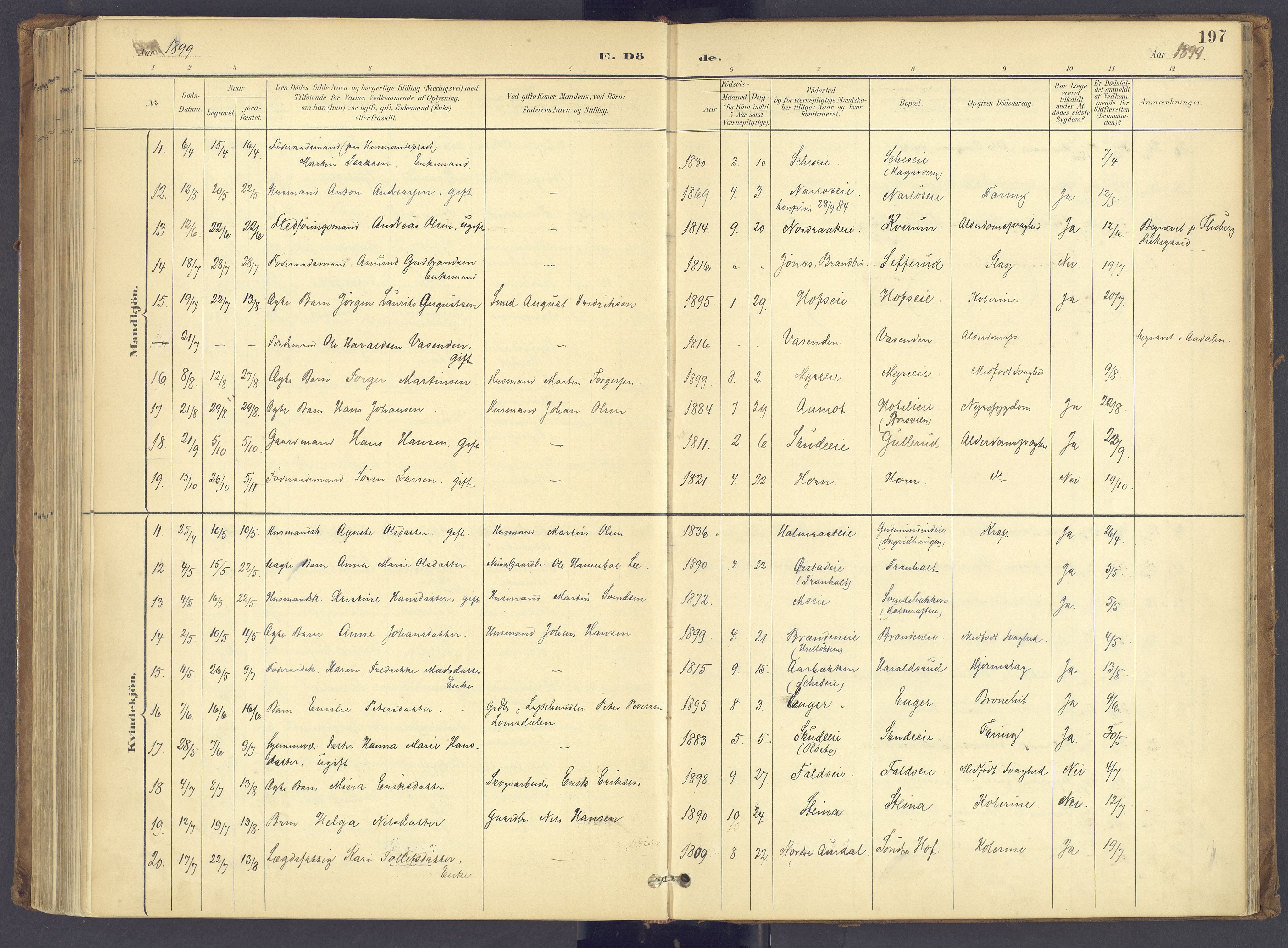 Søndre Land prestekontor, SAH/PREST-122/K/L0006: Parish register (official) no. 6, 1895-1904, p. 197