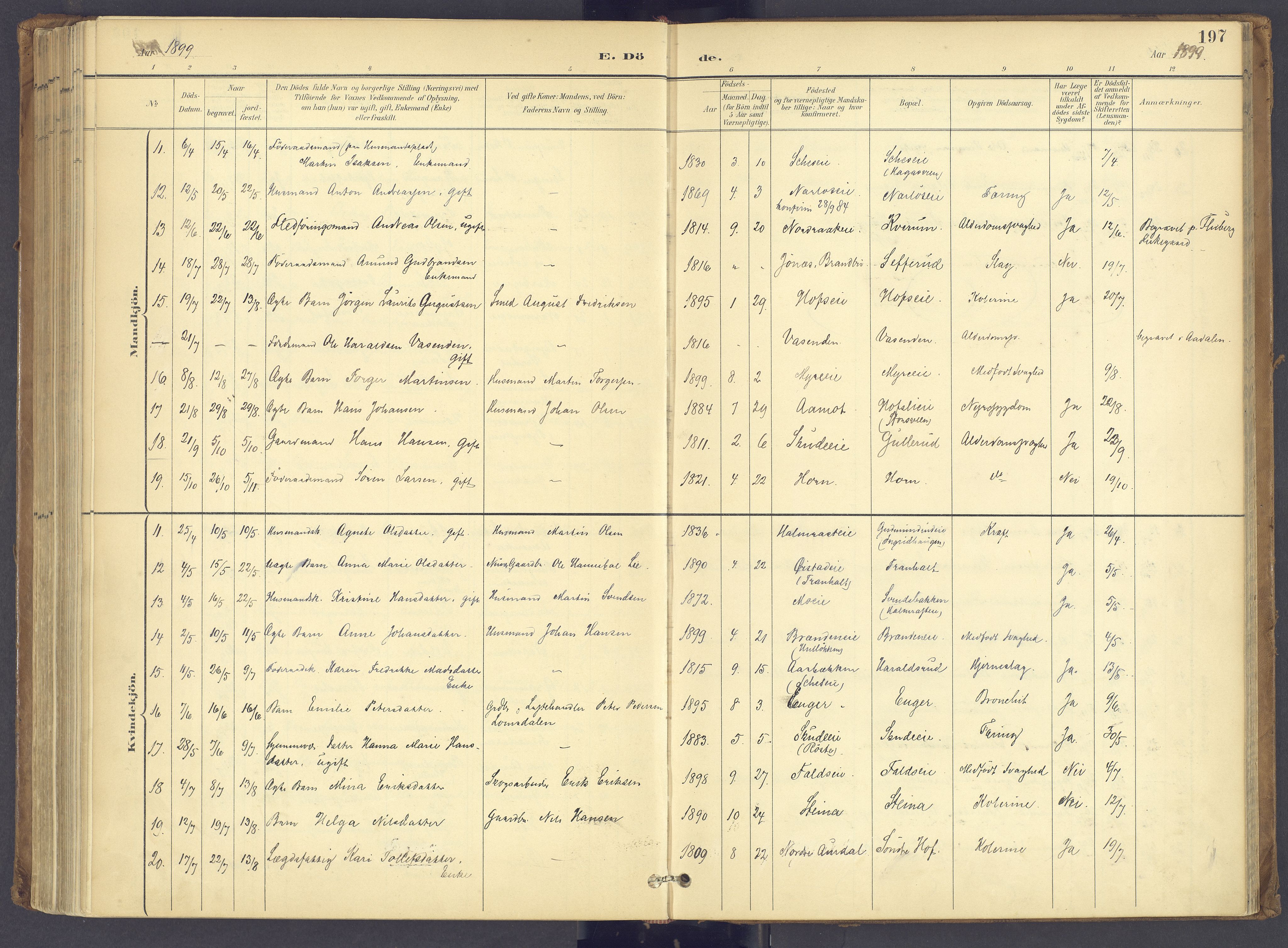 Søndre Land prestekontor, AV/SAH-PREST-122/K/L0006: Parish register (official) no. 6, 1895-1904, p. 197