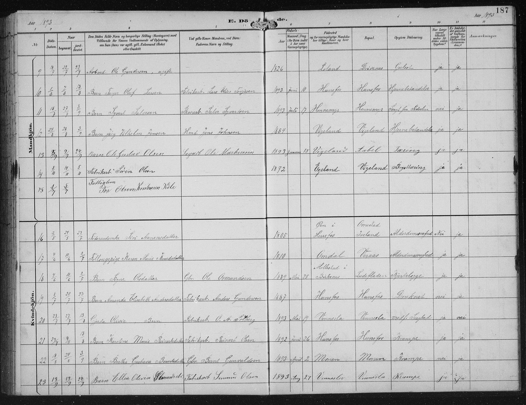 Vennesla sokneprestkontor, SAK/1111-0045/Fb/Fbb/L0004: Parish register (copy) no. B 4, 1893-1902, p. 187