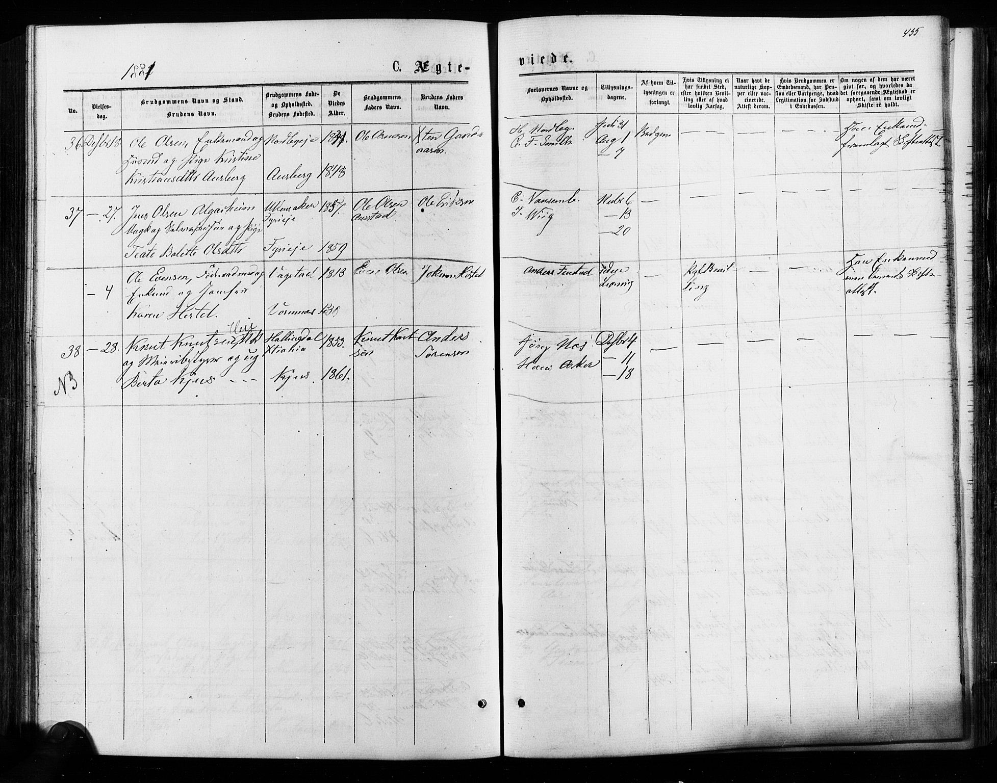 Nes prestekontor Kirkebøker, AV/SAO-A-10410/F/Fa/L0009: Parish register (official) no. I 9, 1875-1882, p. 455