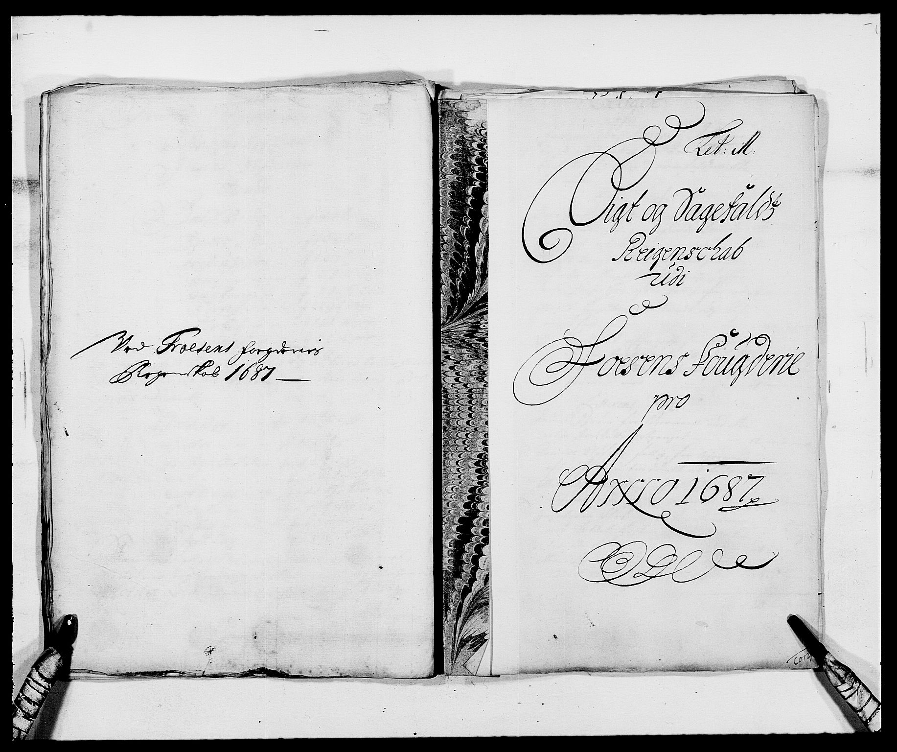 Rentekammeret inntil 1814, Reviderte regnskaper, Fogderegnskap, RA/EA-4092/R57/L3845: Fogderegnskap Fosen, 1687, p. 131