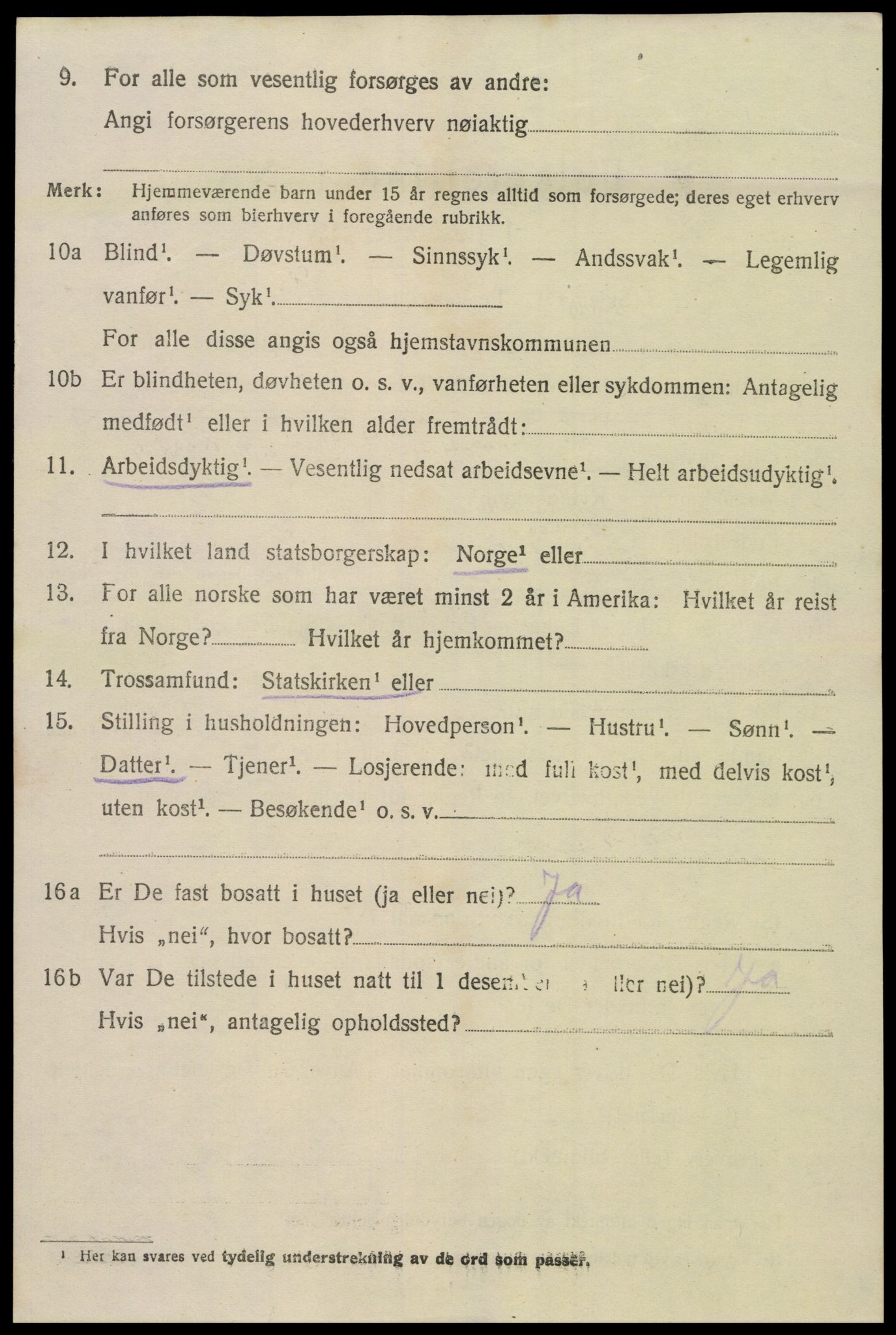 SAK, 1920 census for Hornnes, 1920, p. 1042