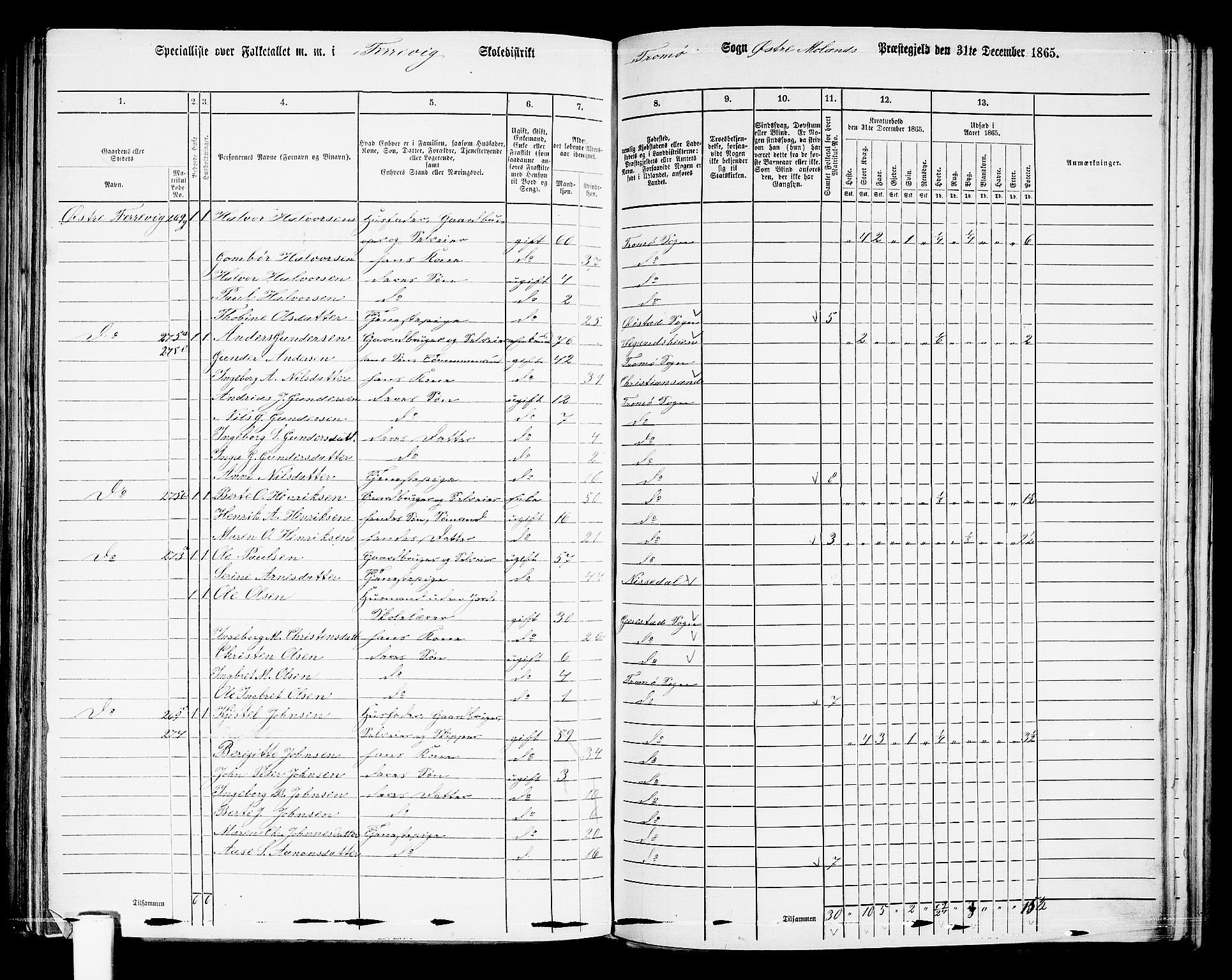 RA, 1865 census for Austre Moland, 1865, p. 253