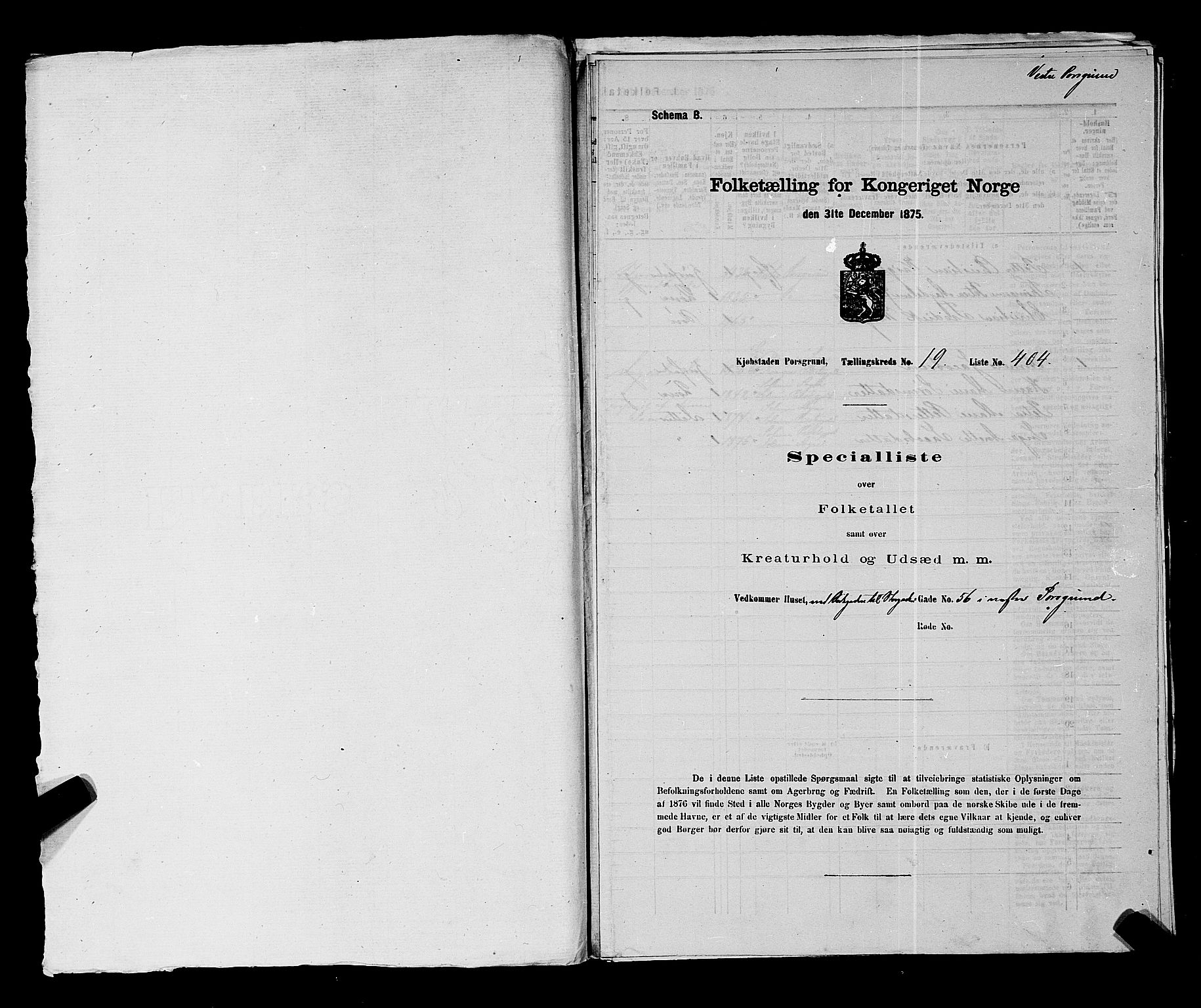 SAKO, 1875 census for 0805P Porsgrunn, 1875, p. 910